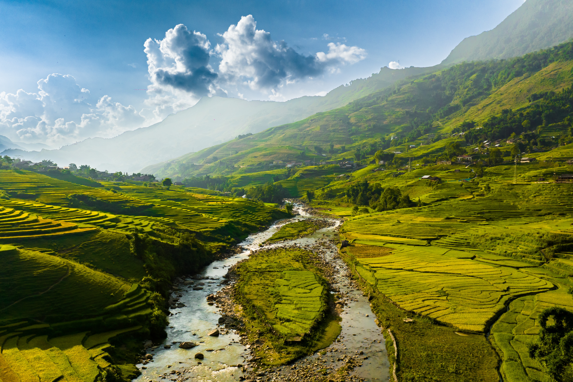 Terraced green fields and river in Sapa mountains