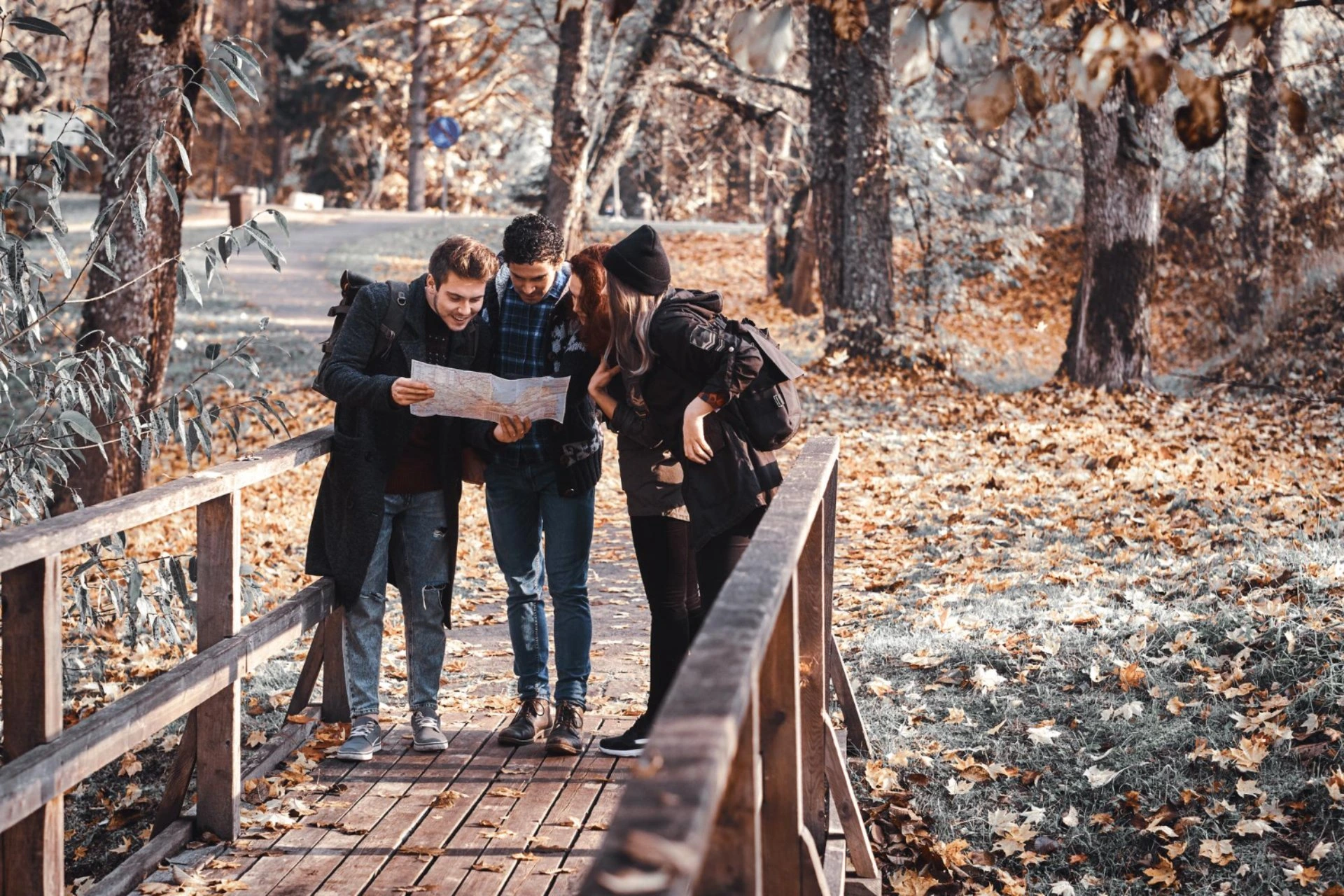 Three backpackers reading a map on a wooden bridge in an autumn forest – off-the-beaten-path experiences in New Zealand vs Switzerland