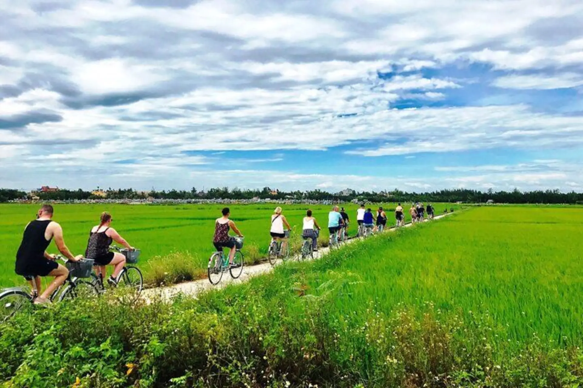 Cycling through the paddy fields in Hoi An