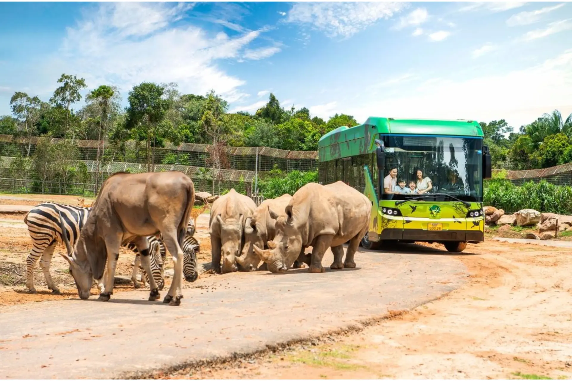 VinSafari Experience in Phu Quoc