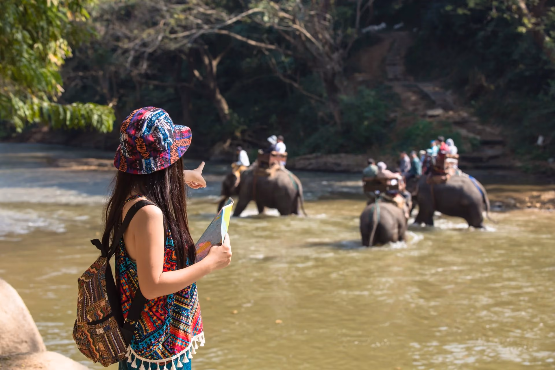 Tourists enjoying an elephant safari crossing a river in Tanzania surrounded by lush forest and natural landscapes