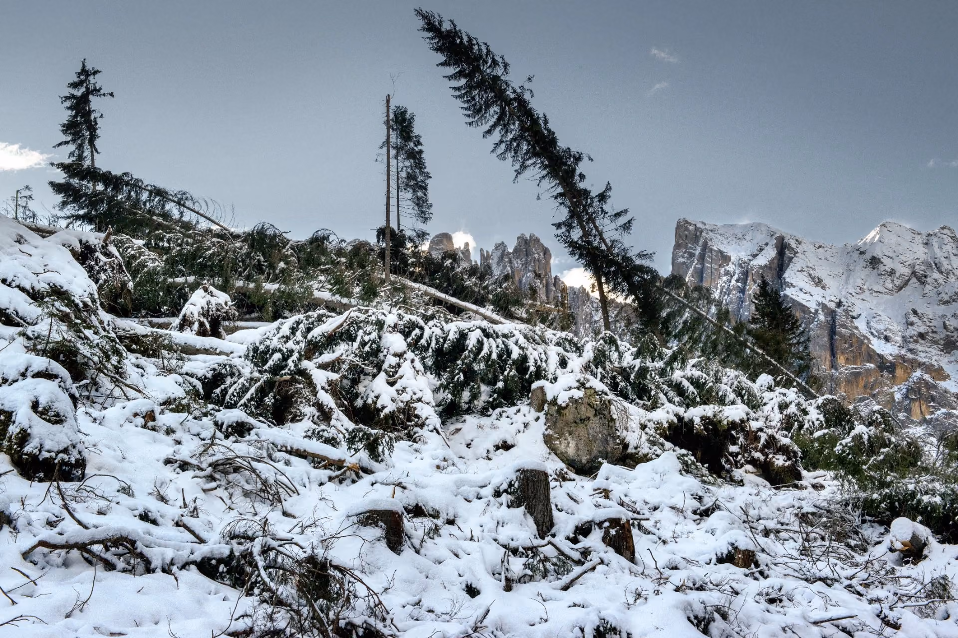 Snow-covered landscape in Patagonia, Argentina, with fallen trees, winter forest scenery, and rugged mountain peaks in the background.
