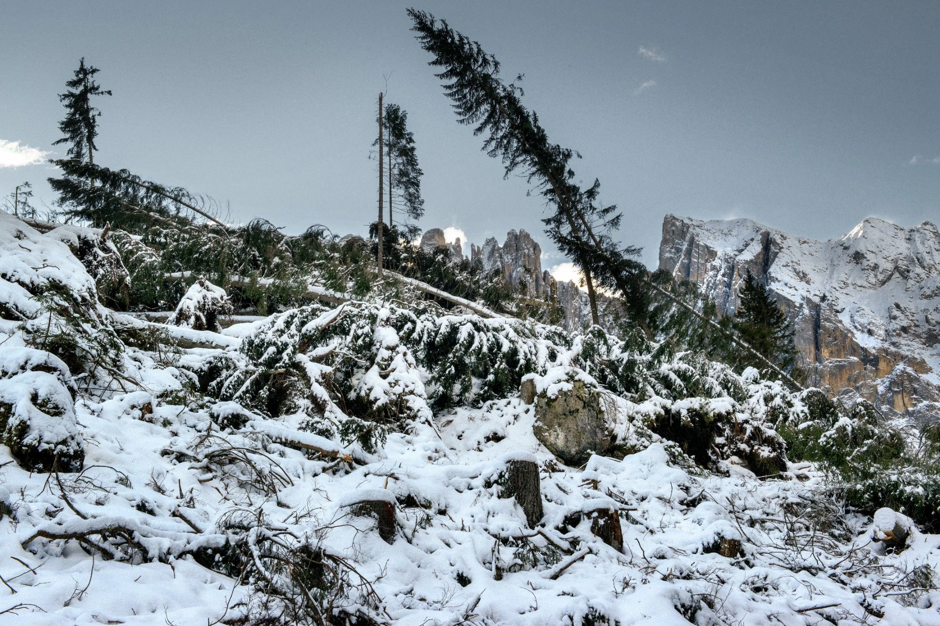 Snow-covered landscape in Patagonia, Argentina, with fallen trees, winter forest scenery, and rugged mountain peaks in the background.