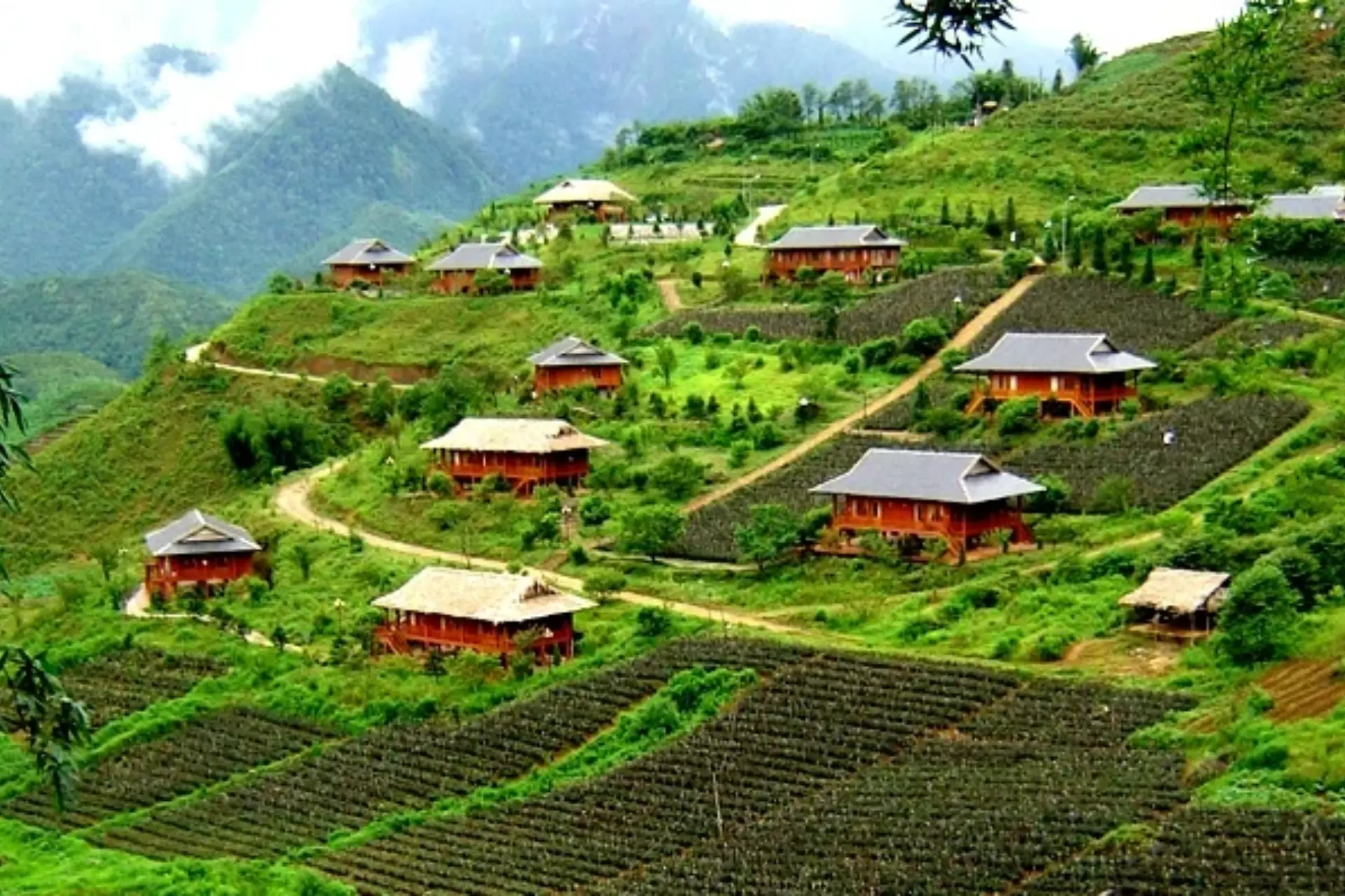 Sapa Village