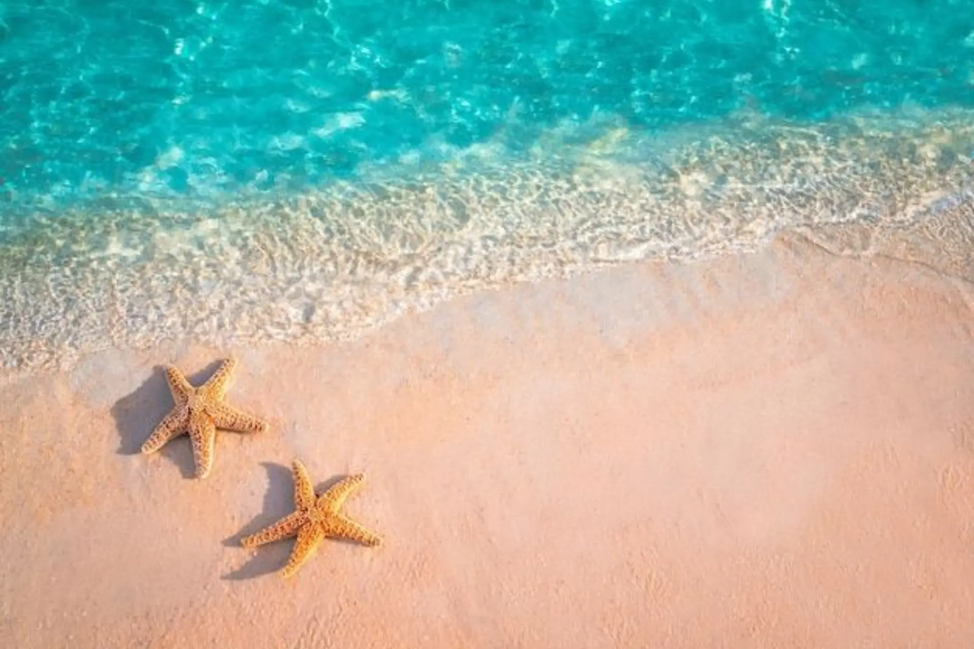 Starfish Beach, Phu Quoc