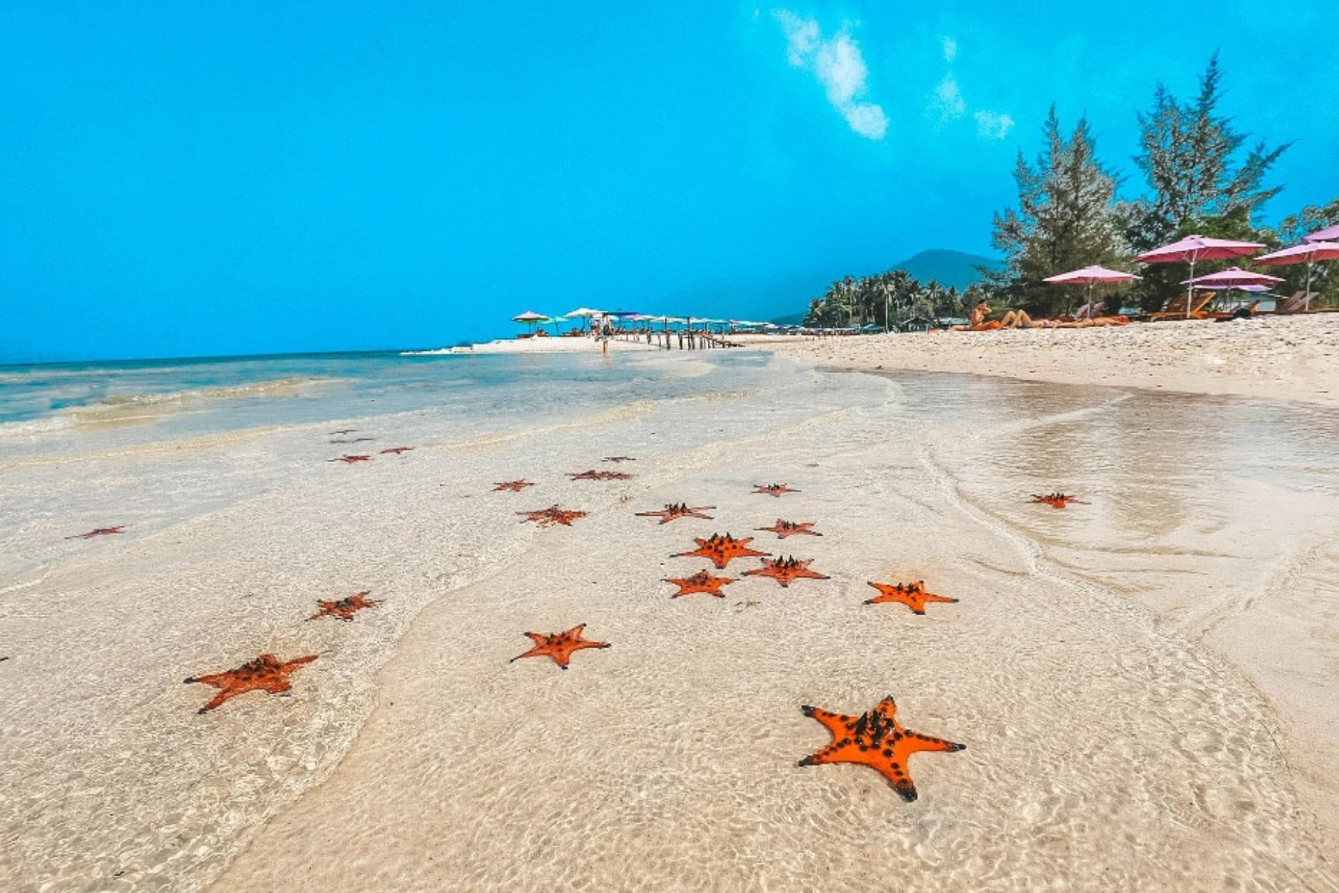 Famous starfish beach in Phu Quoc