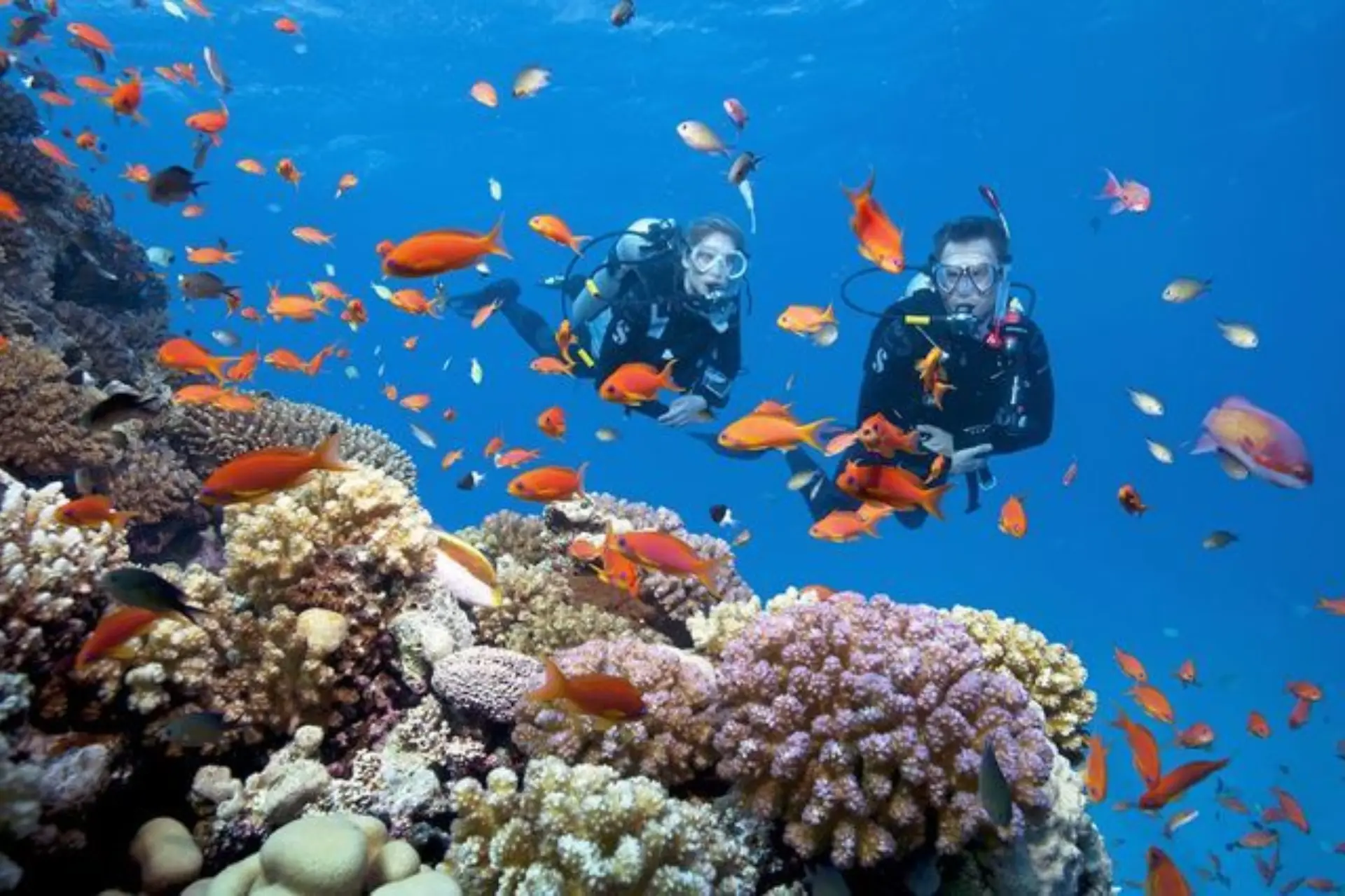 couple enjoying snorkeling in Vietnam