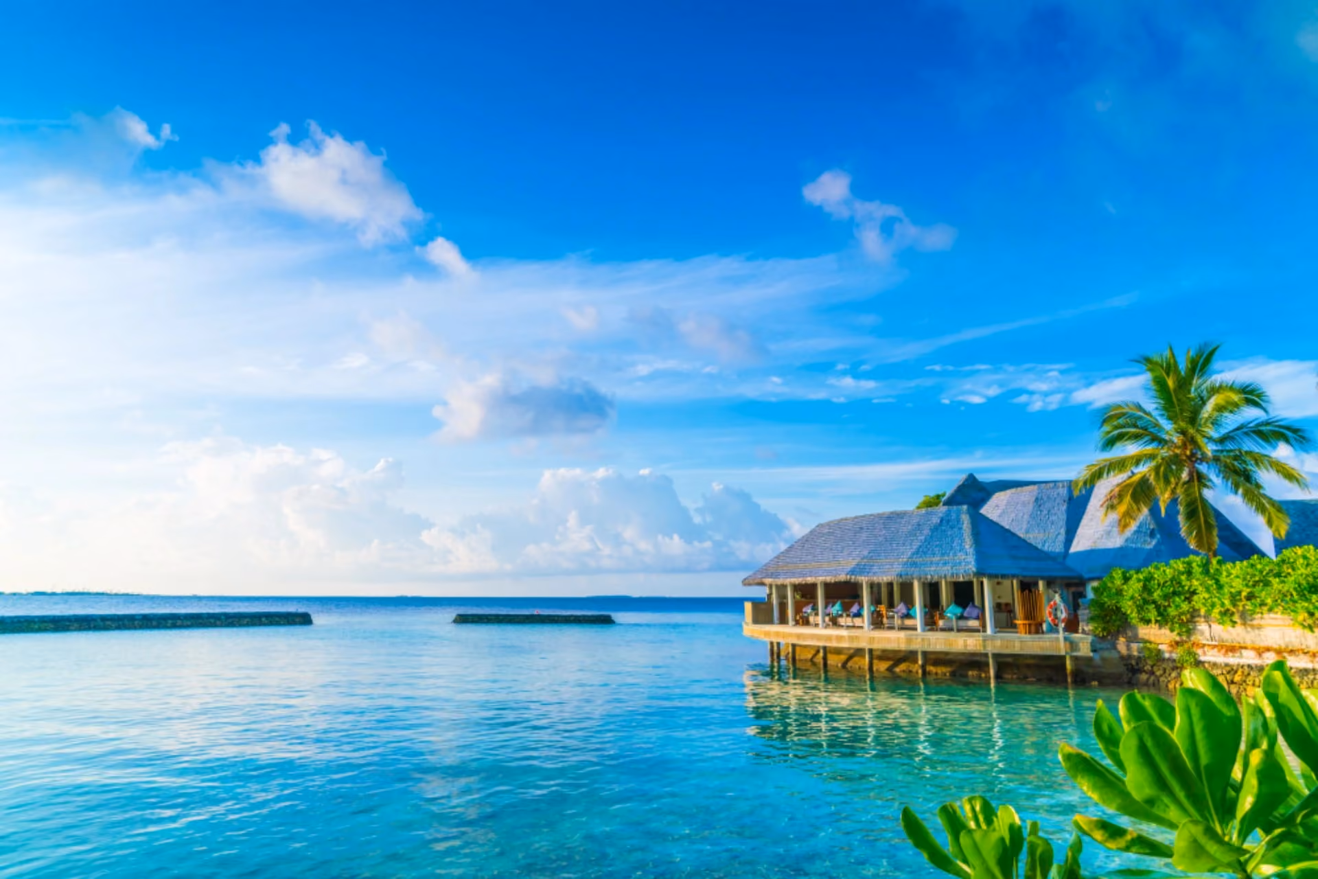 Traveller planning travel expenses for Maldives vs Mauritius in November with cash and a model airplane