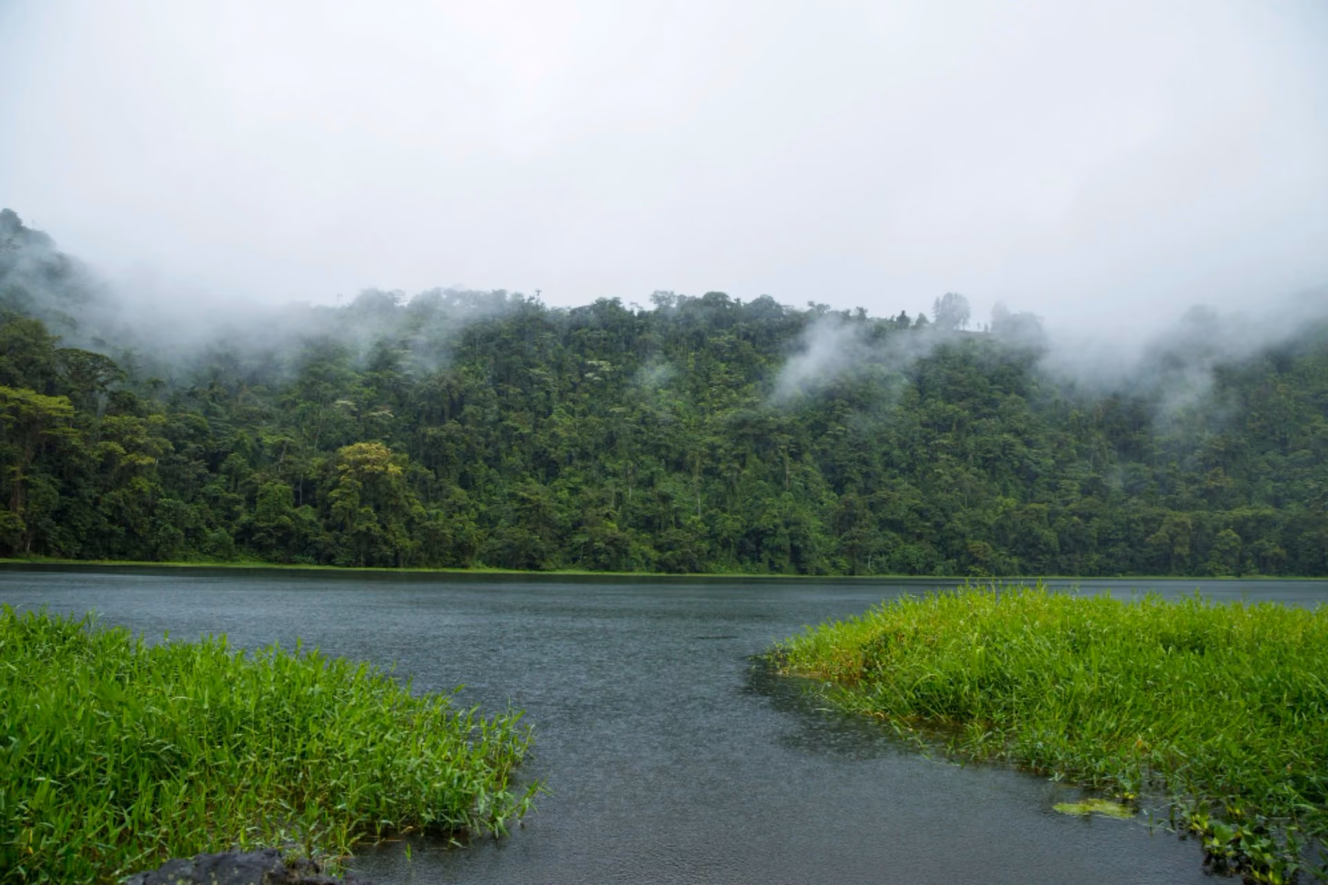 Misty green forest and tranquil lake in Sri Lanka during November, showcasing the country's refreshing tropical weather and natural beauty.