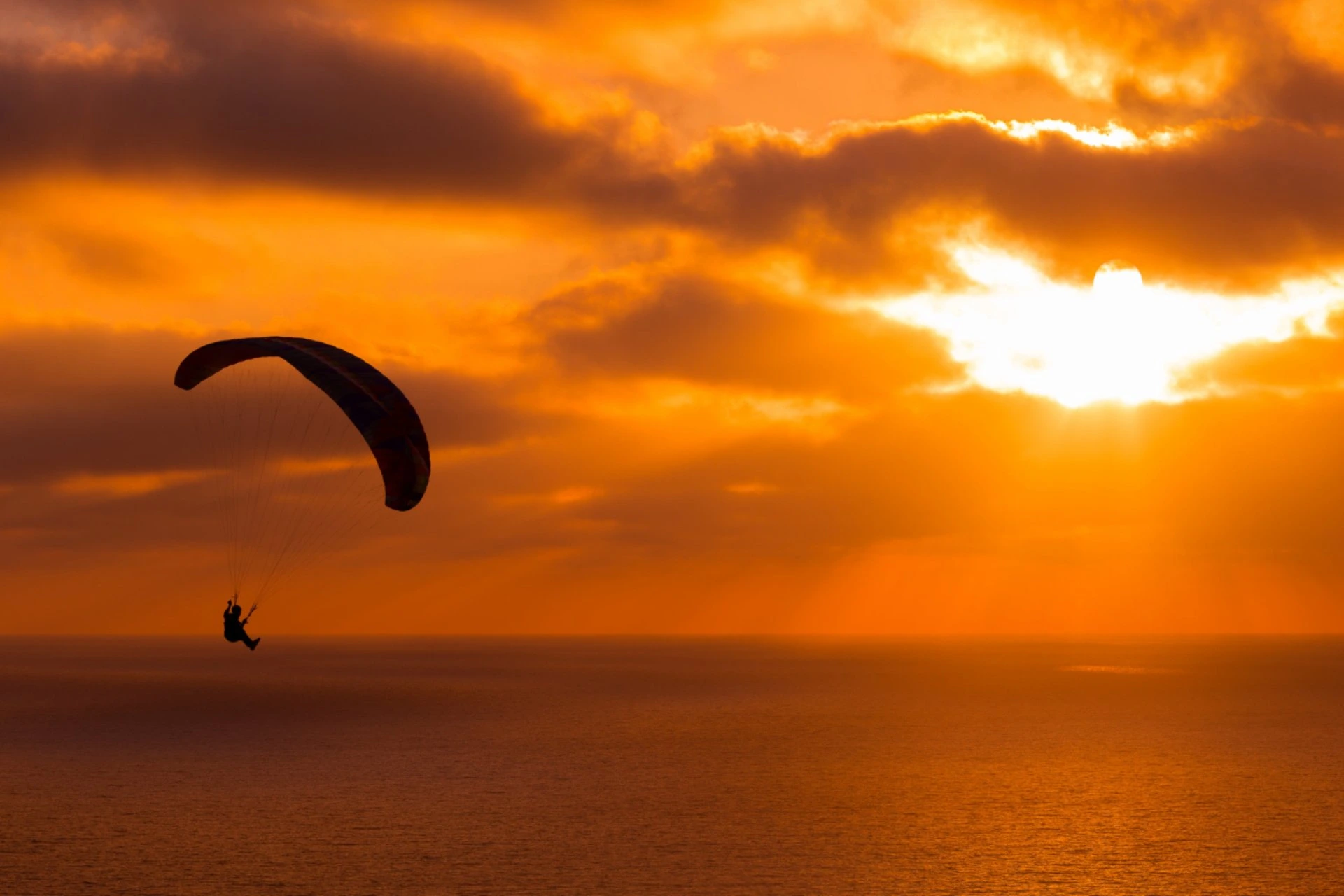 Paraglider soaring over the ocean at sunset, showcasing one of the top adventure activities in New Zealand.