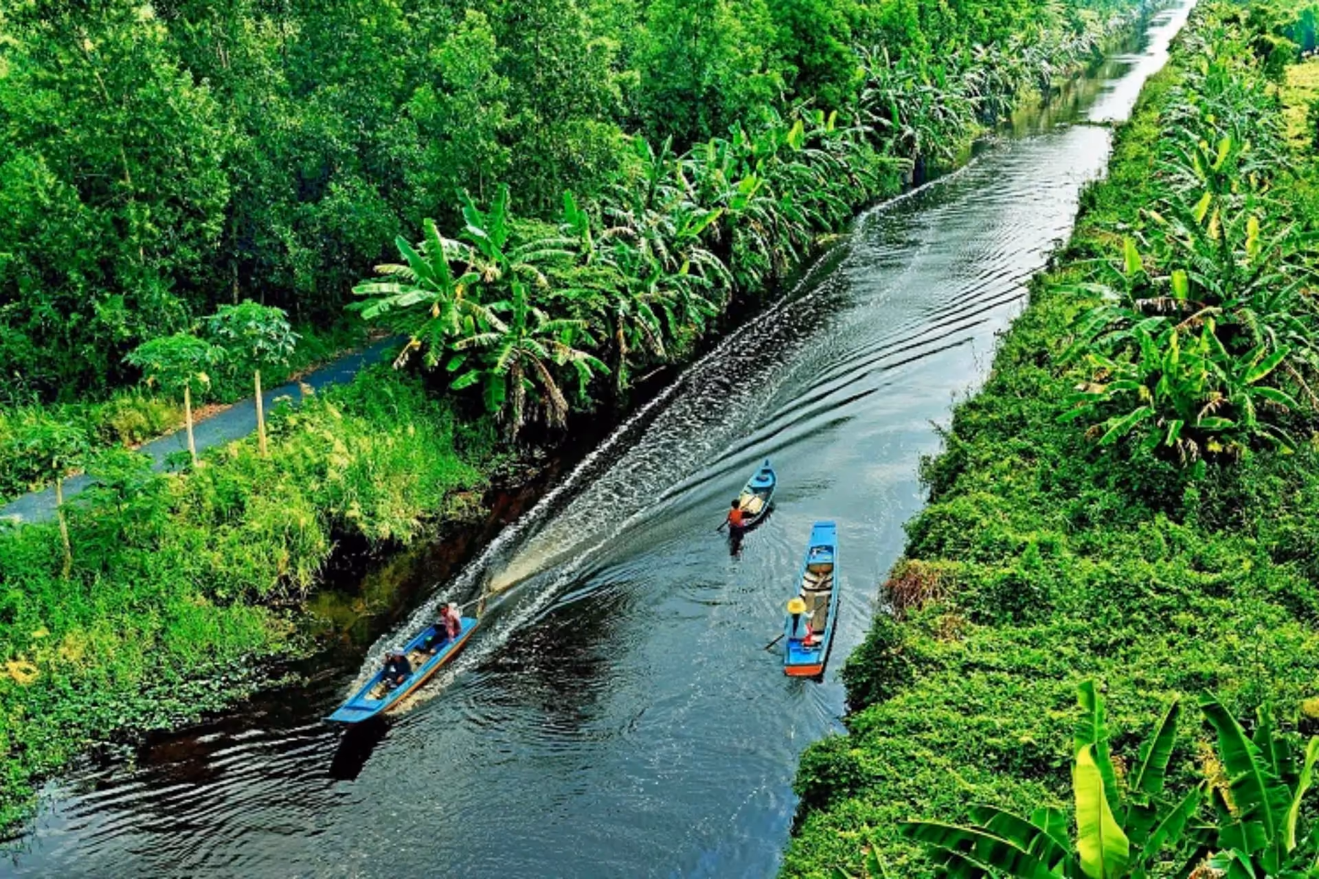 Mekong Delta