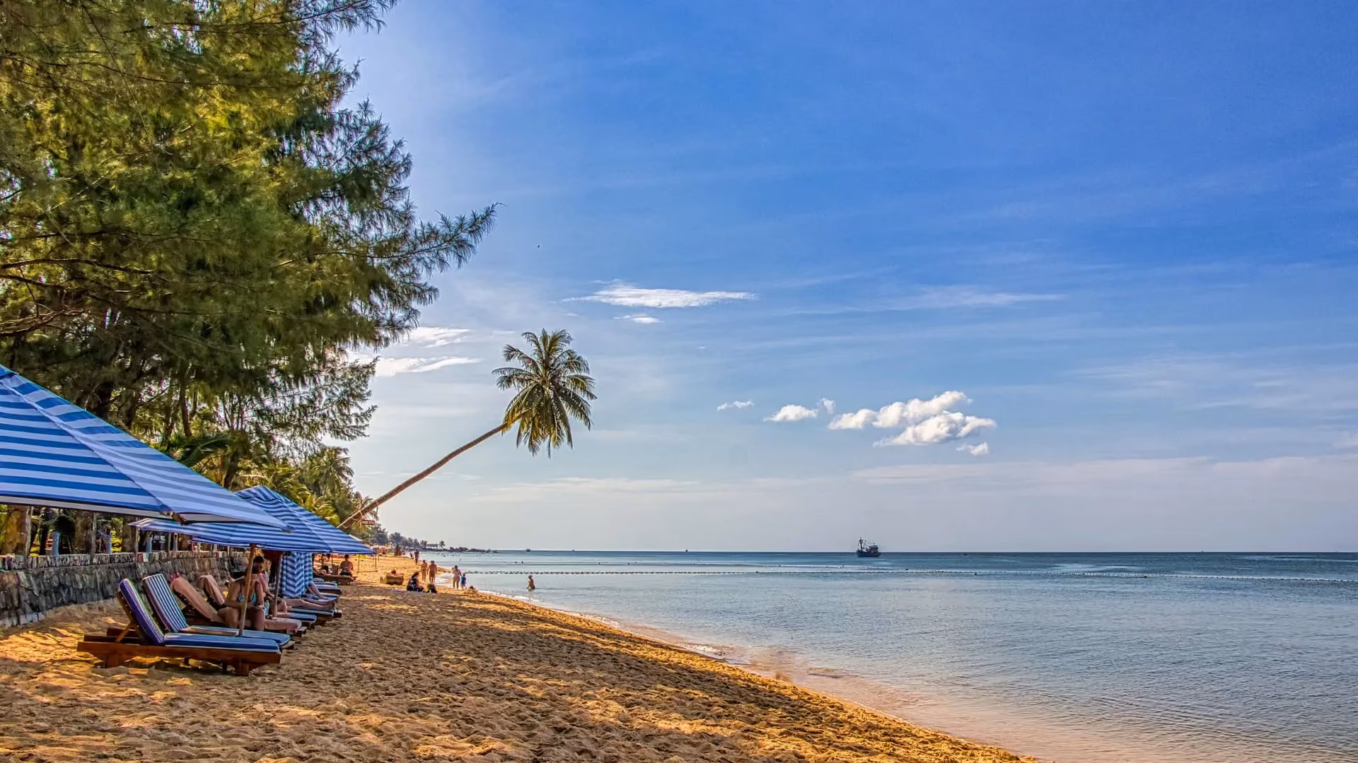Phu Quoc Beach with Palm Trees