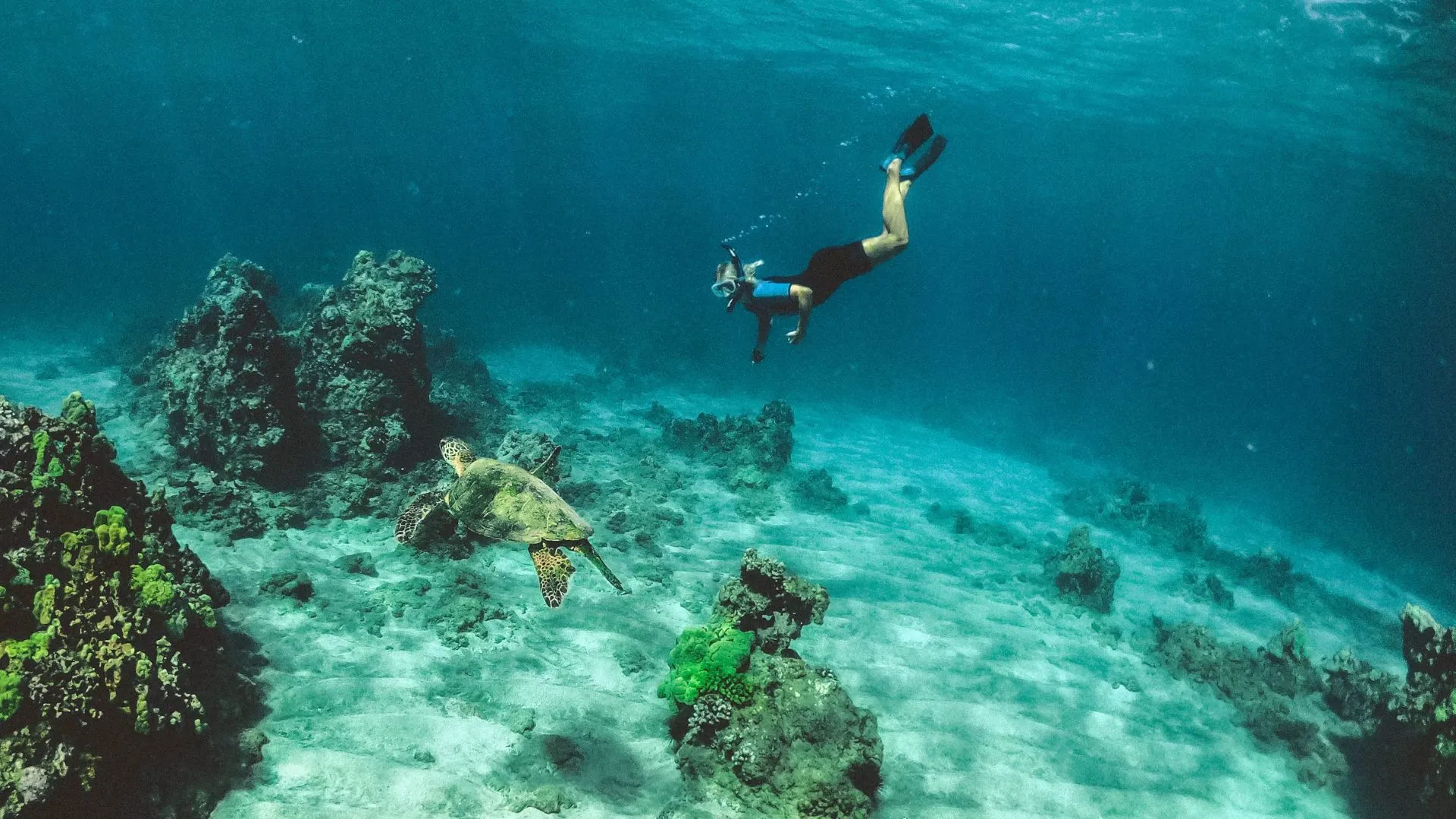 Snorkeling in the Maldives