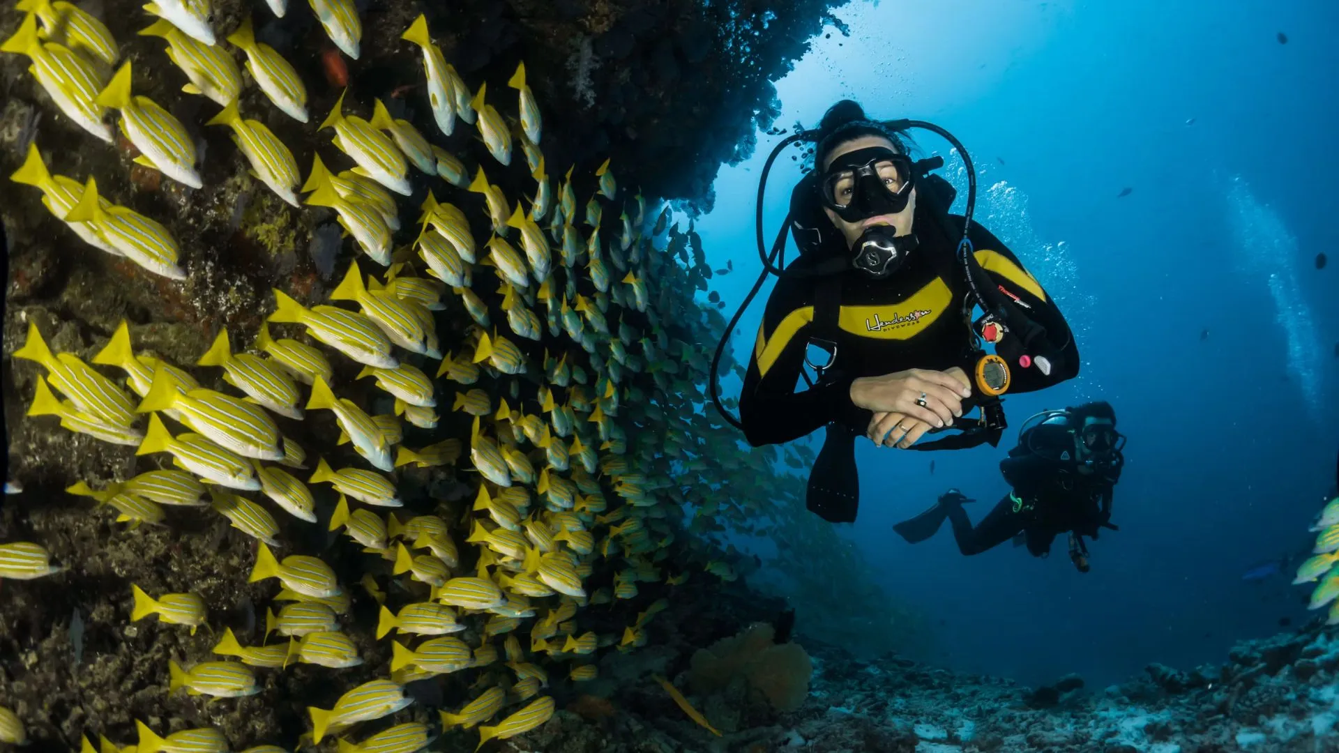 Scuba Diving in the Maldives