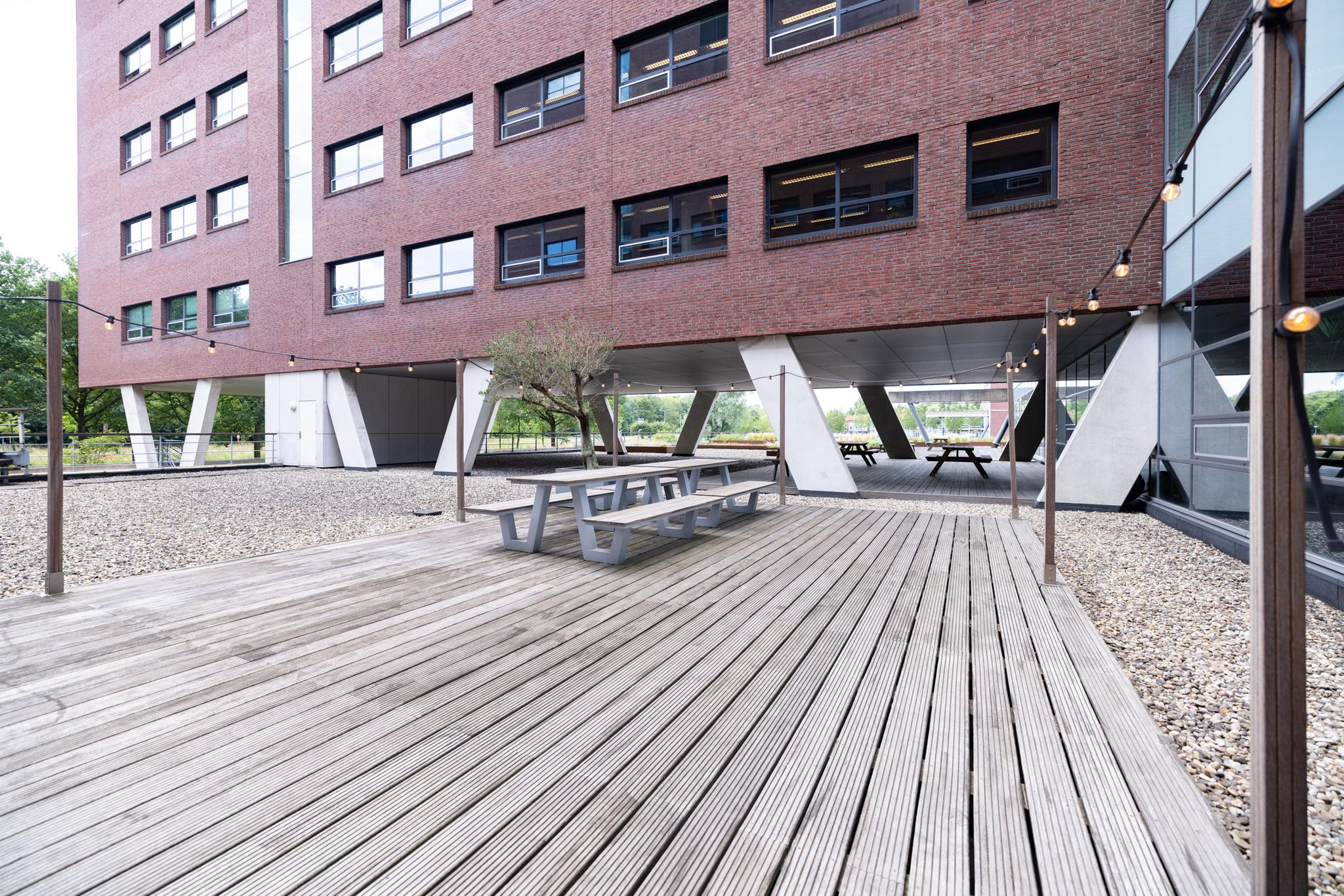 Rijnzathe 12
