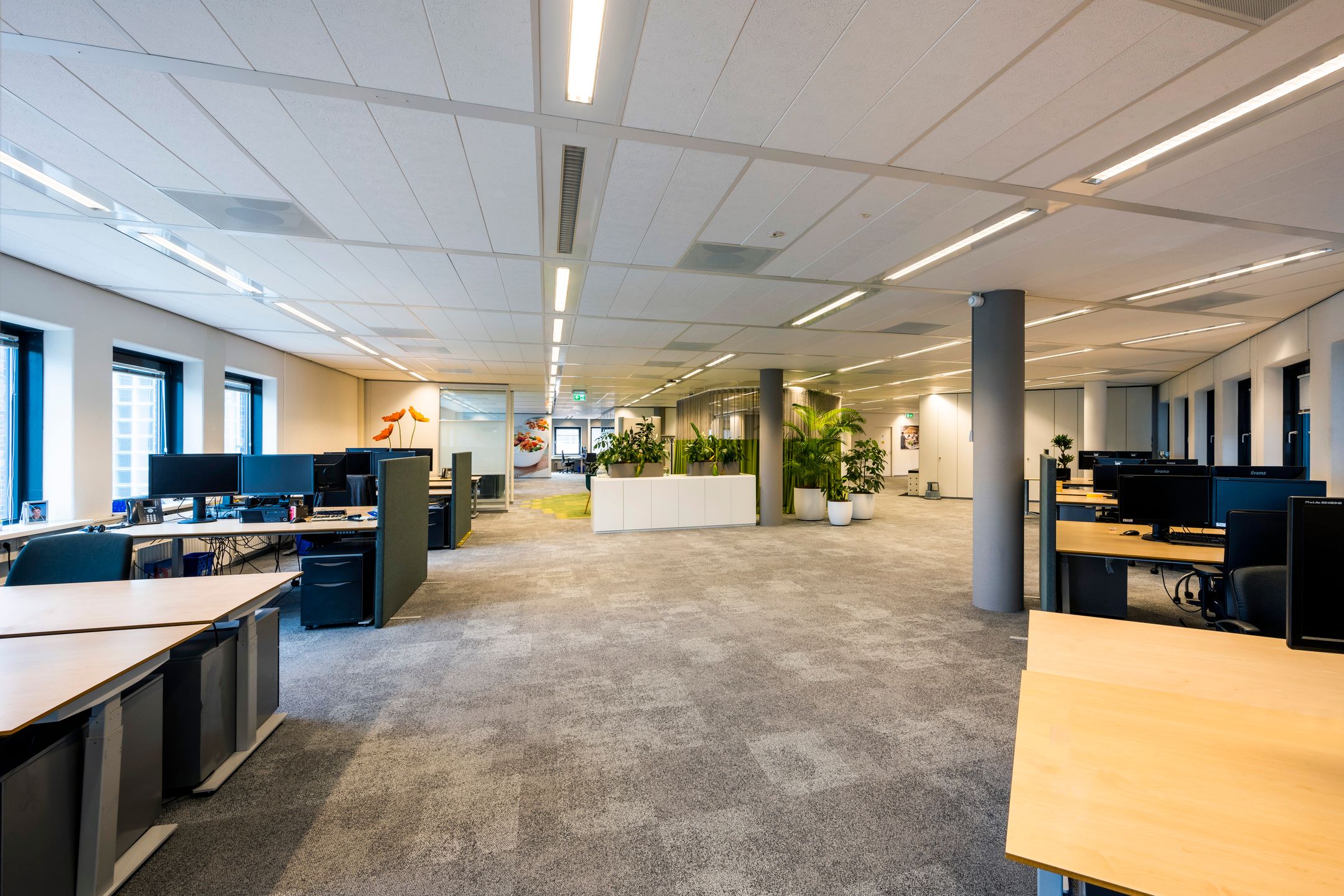 Rijnzathe 11
