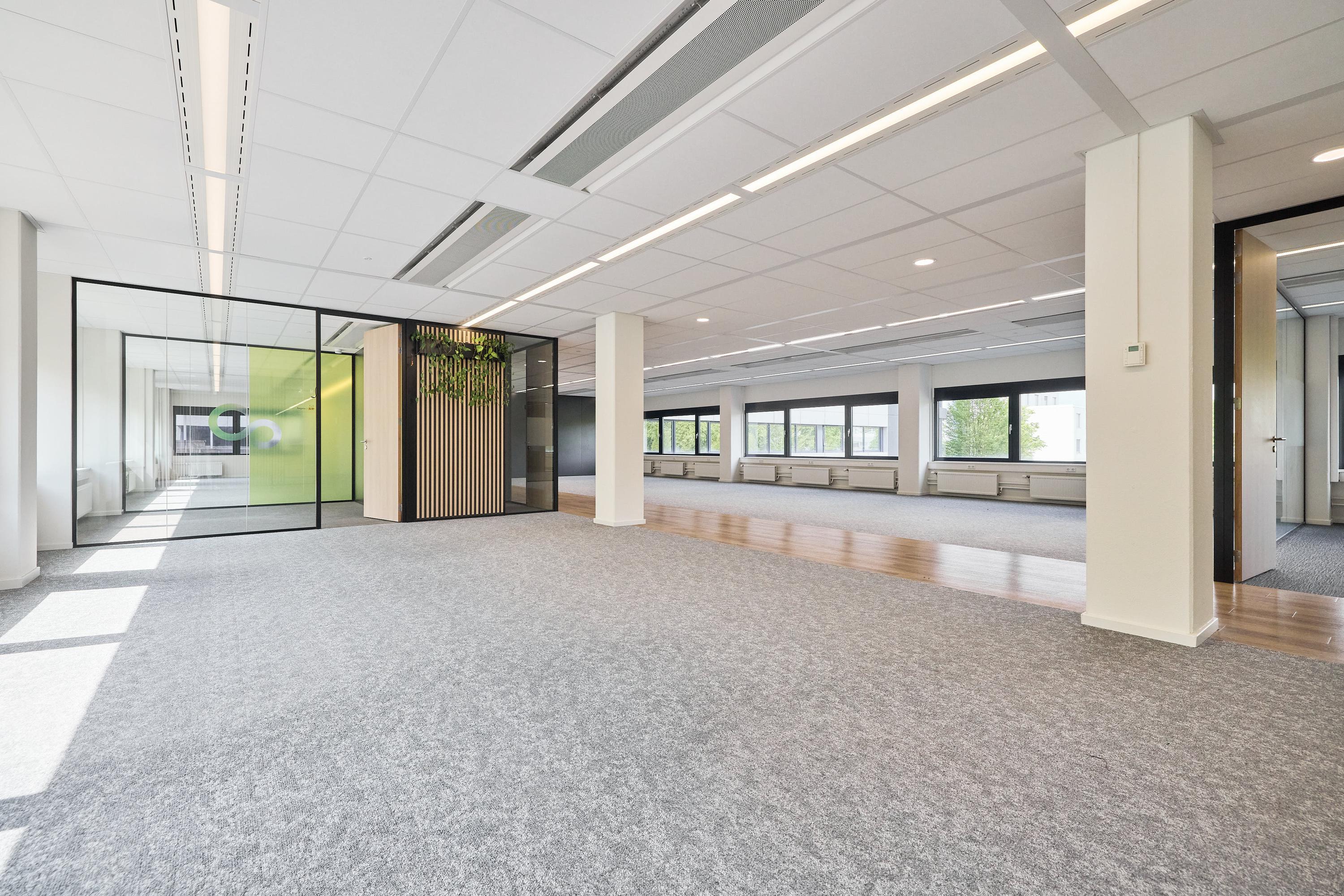 Rijnzathe 6