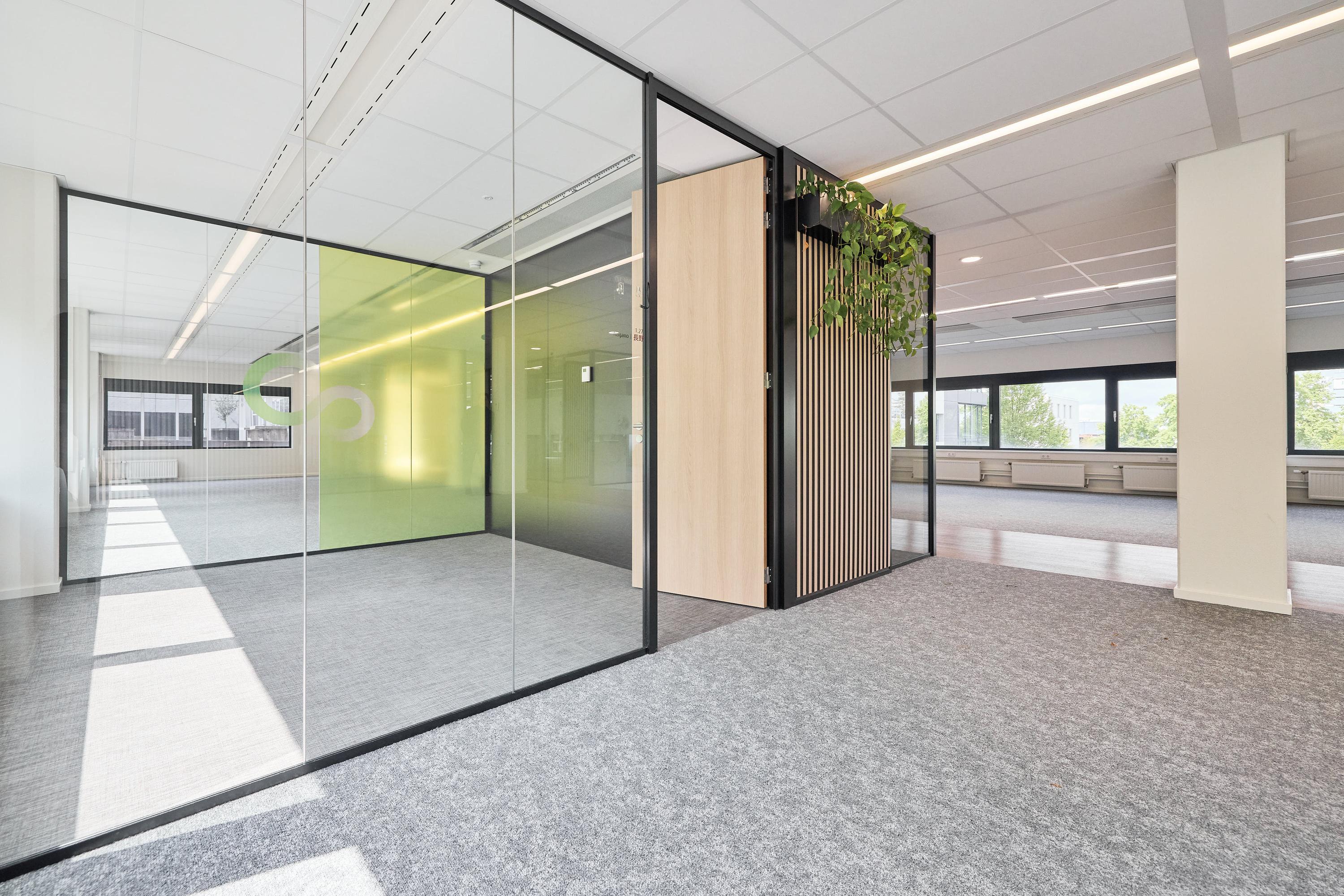 Rijnzathe 6