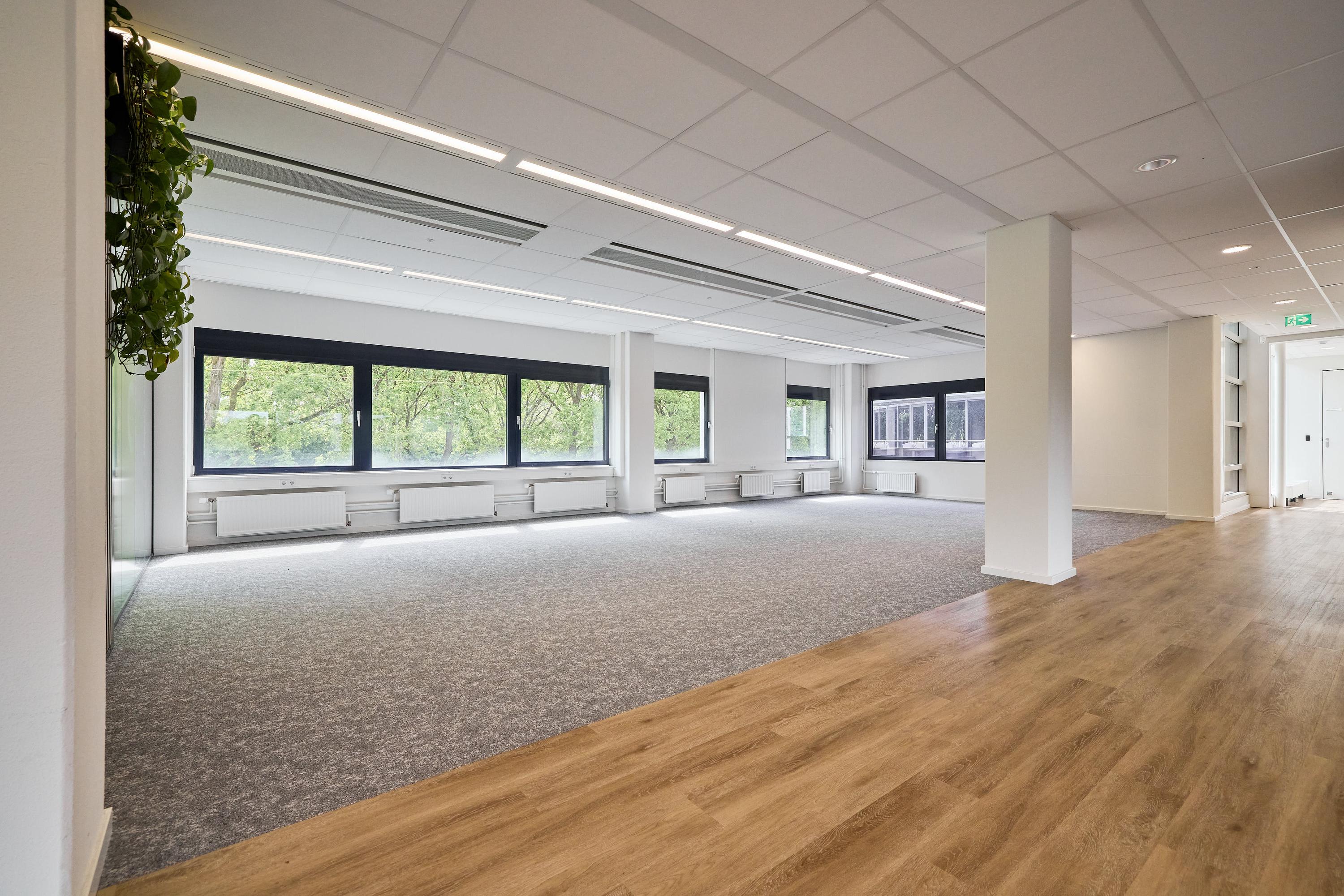 Rijnzathe 6