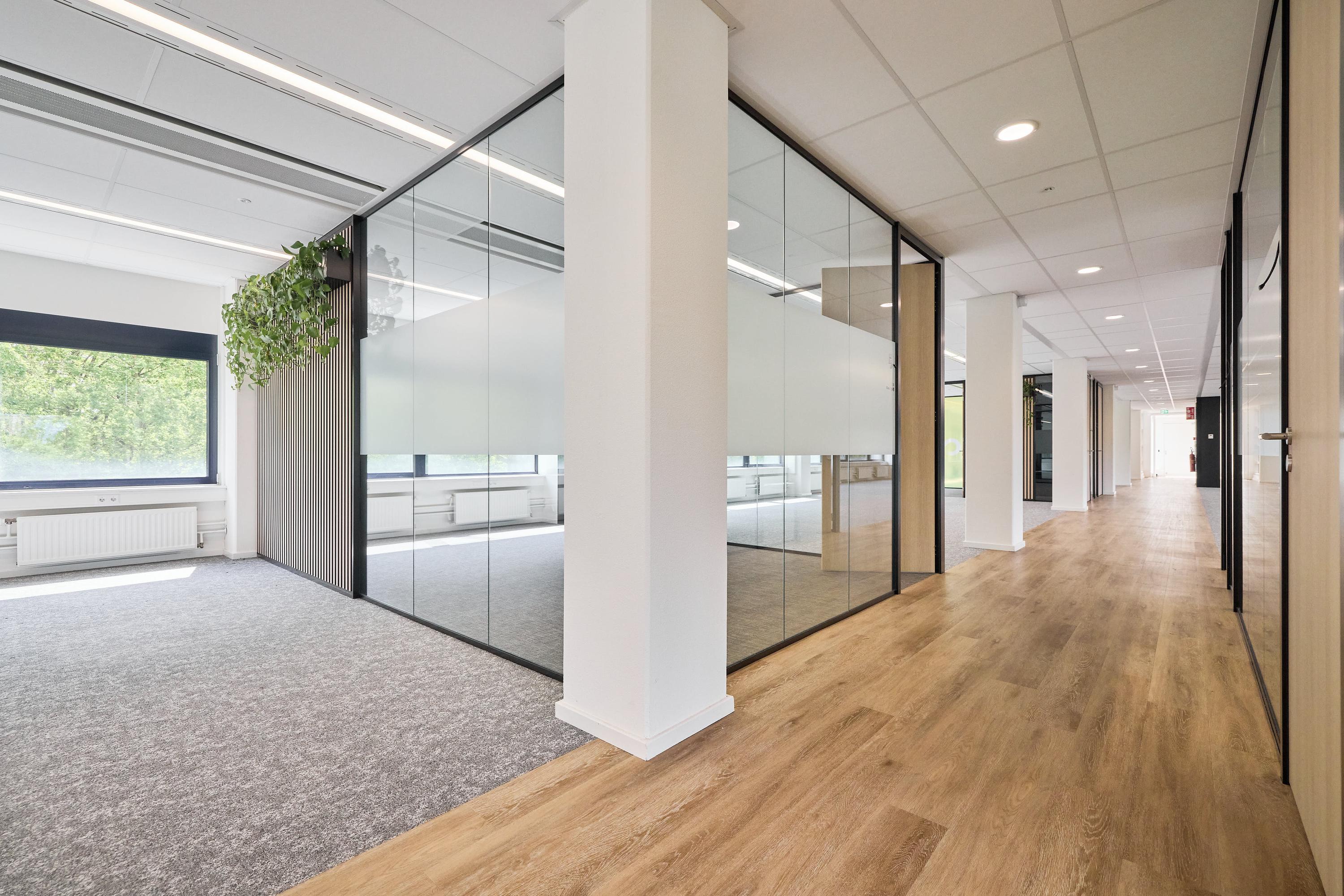 Rijnzathe 6