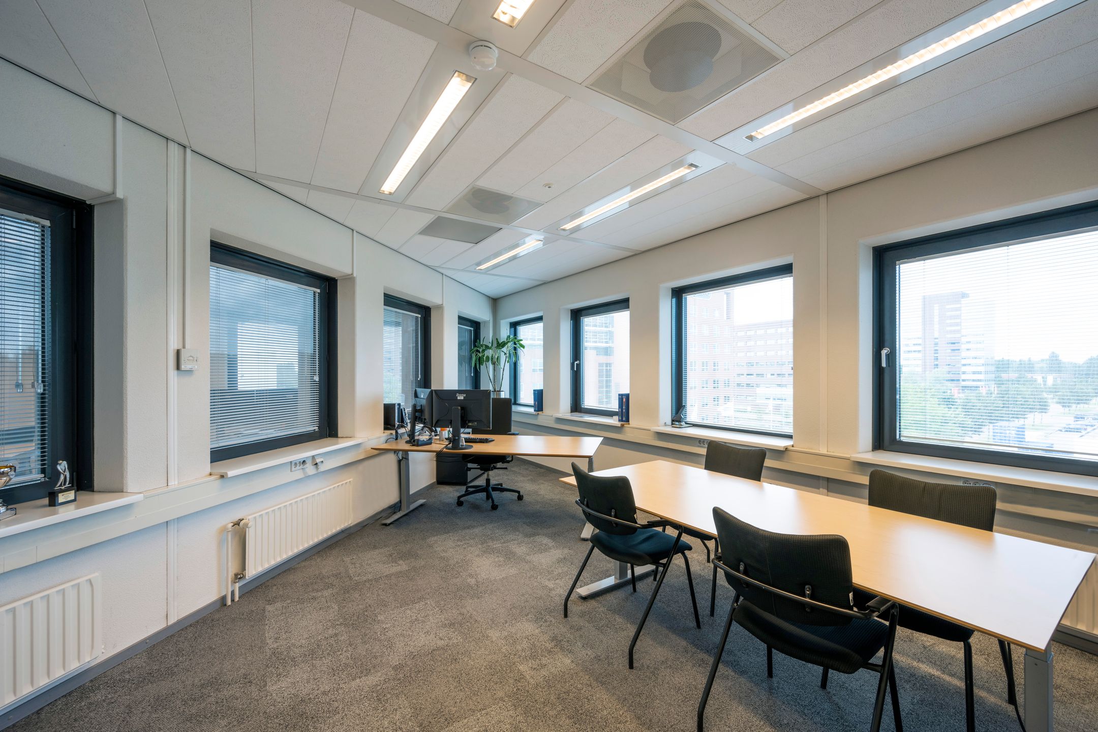 Rijnzathe 11
