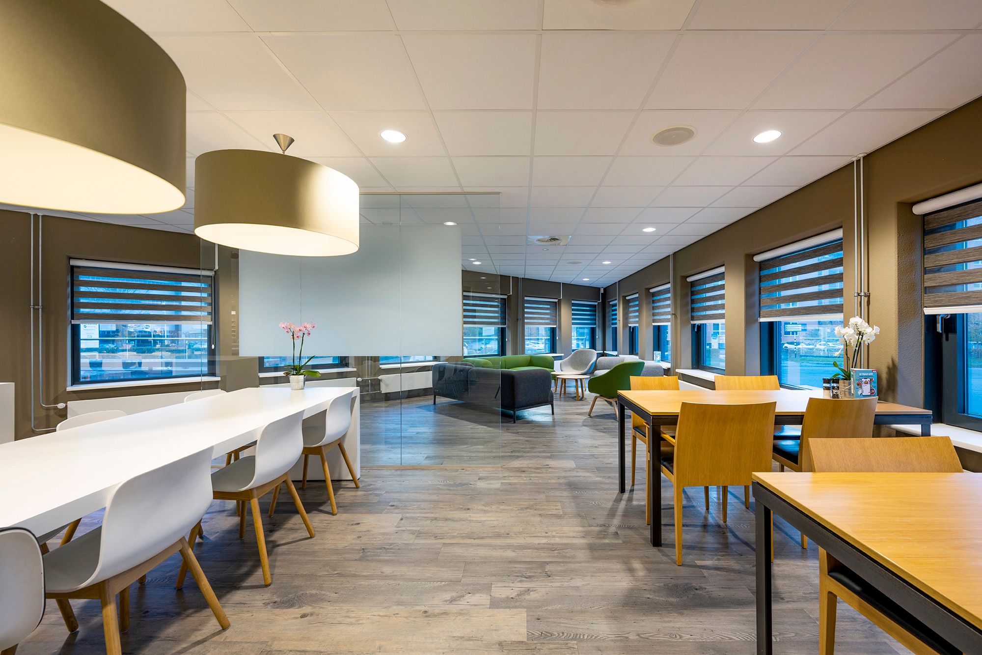 Rijnzathe 11