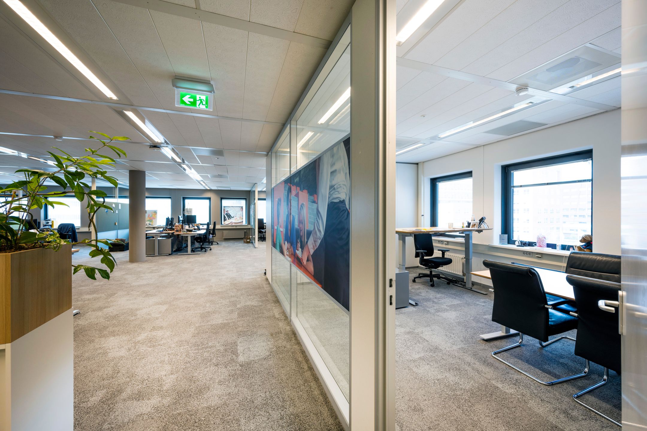 Rijnzathe 11