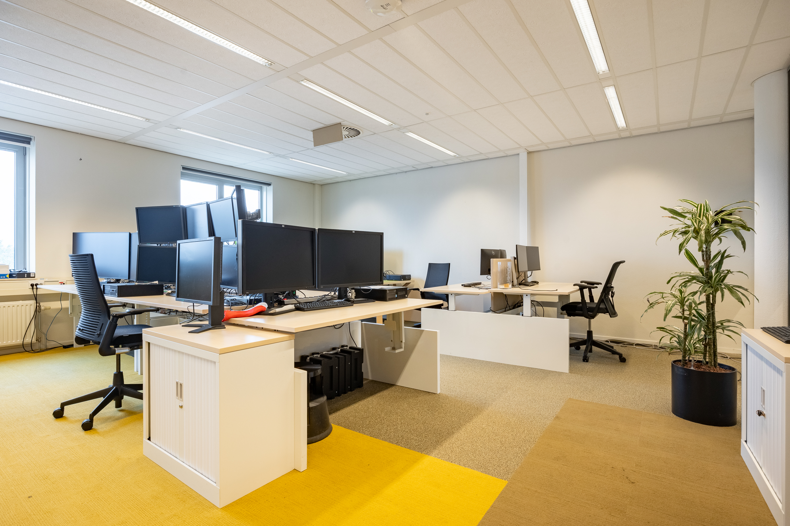Iepenhoeve 11