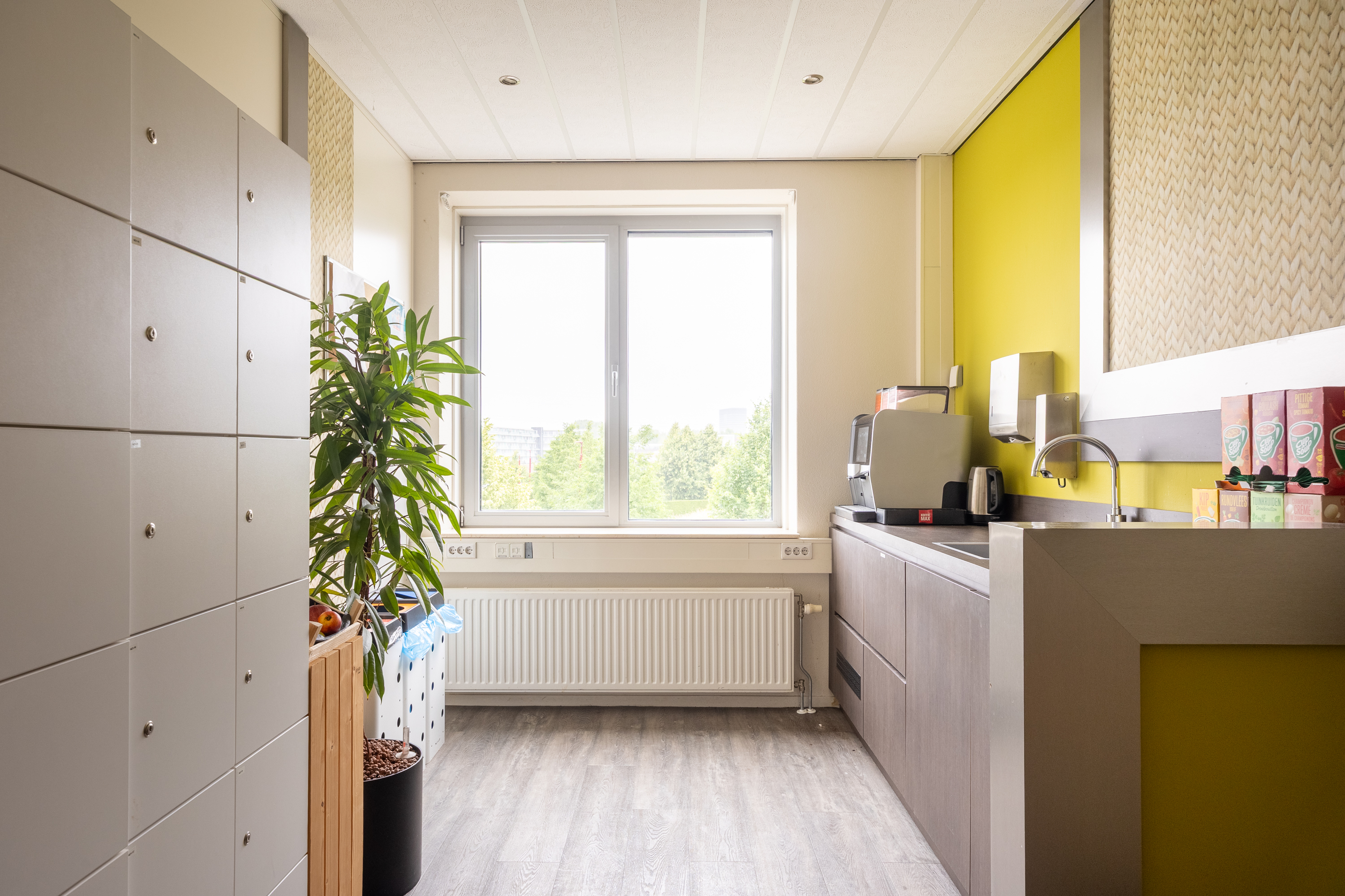 Iepenhoeve 11