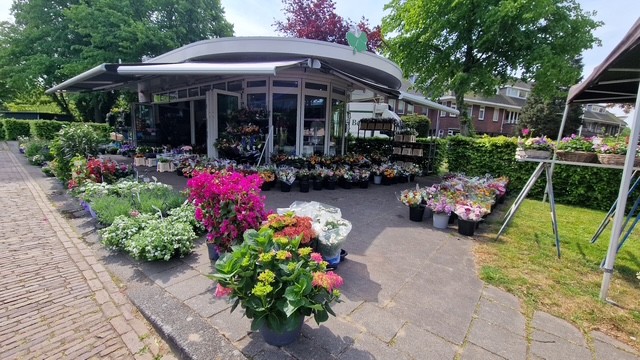 Van Zuylen van Nijeveltstraat 85