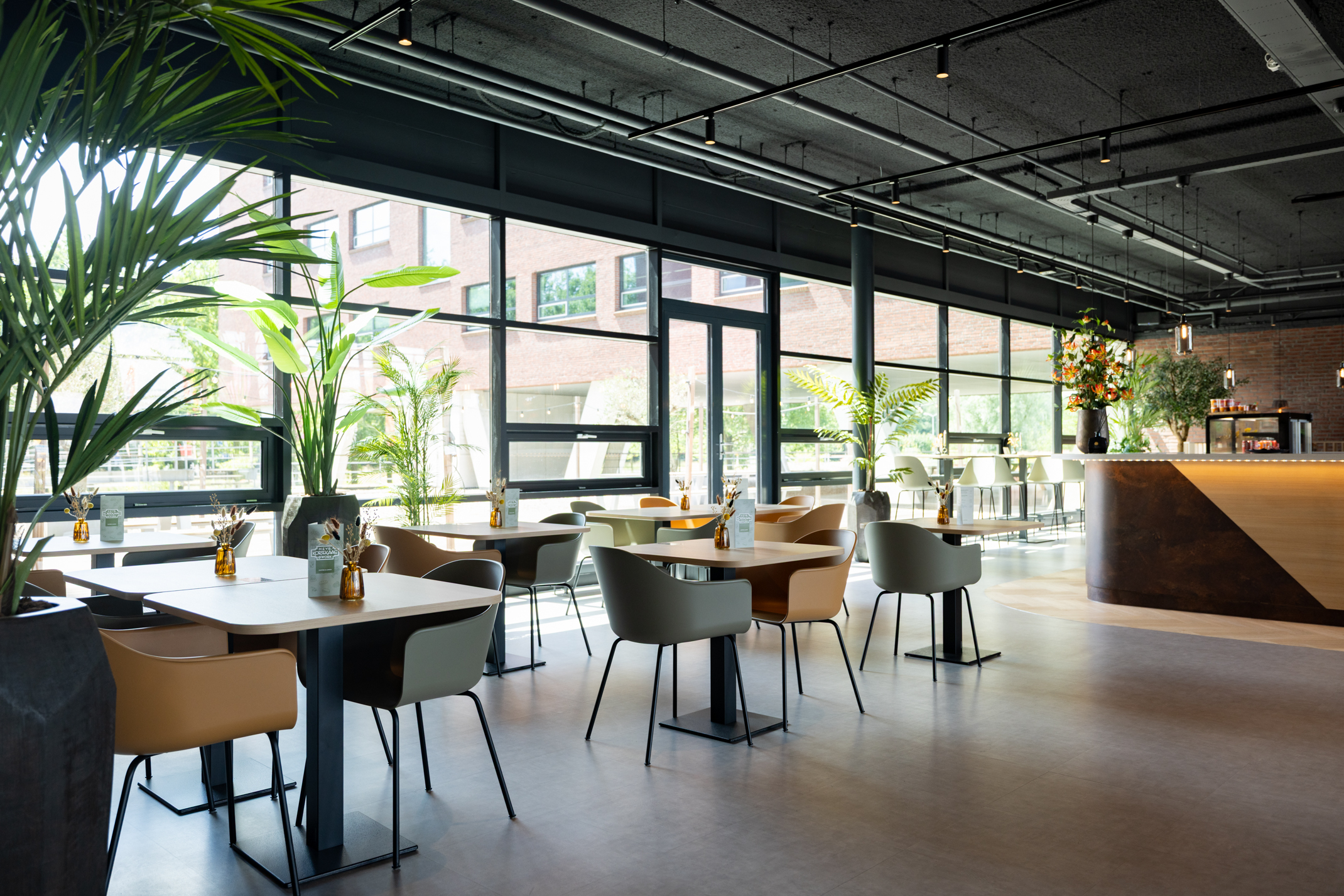 Rijnzathe 12