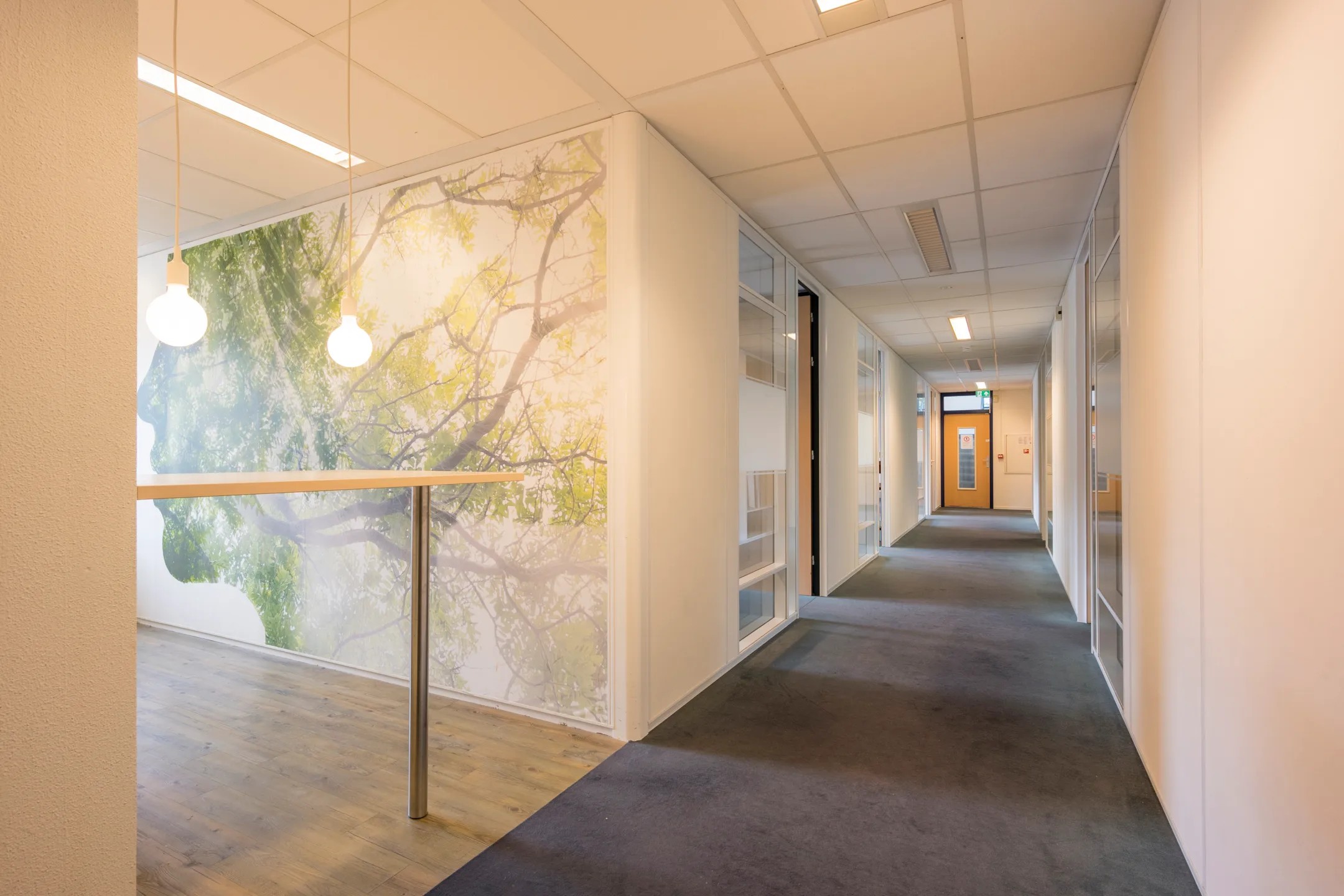 Philipsstraat 1