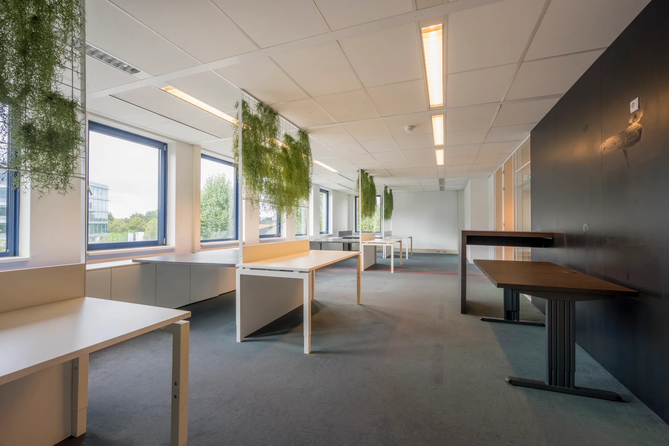 Philipsstraat 1
