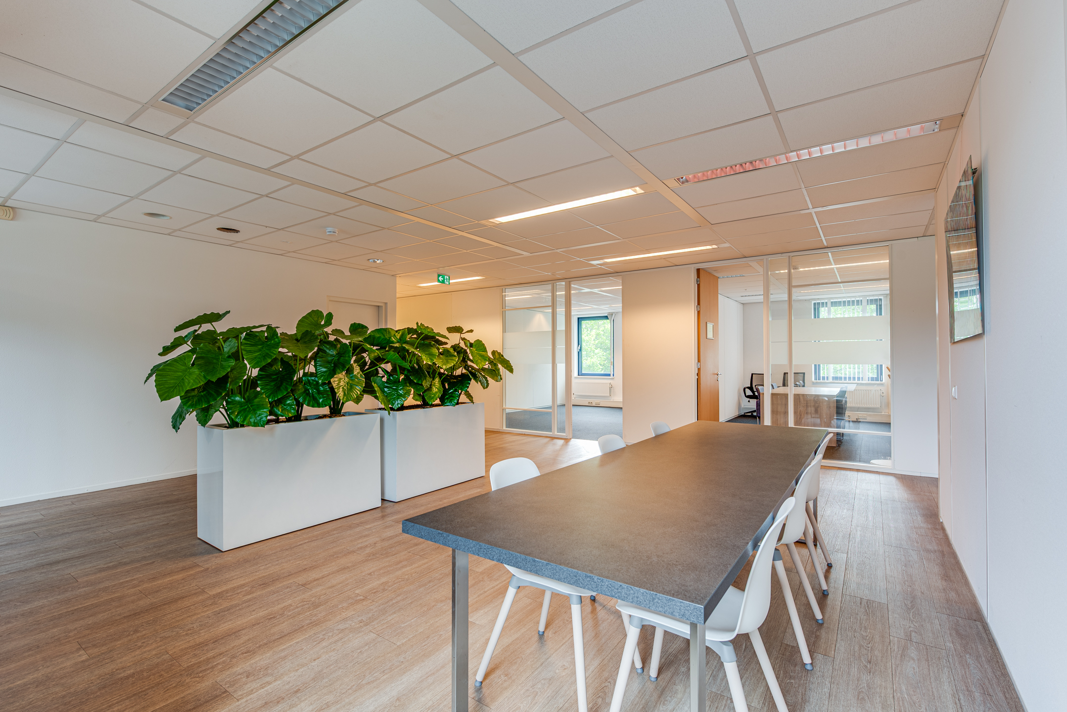 Philipsstraat 1