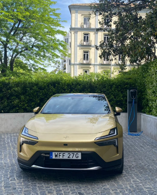 First Driver - Global Car Trading