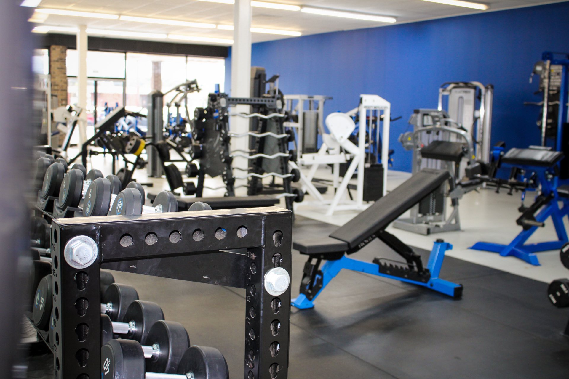Conventional Gym (Programming Available)