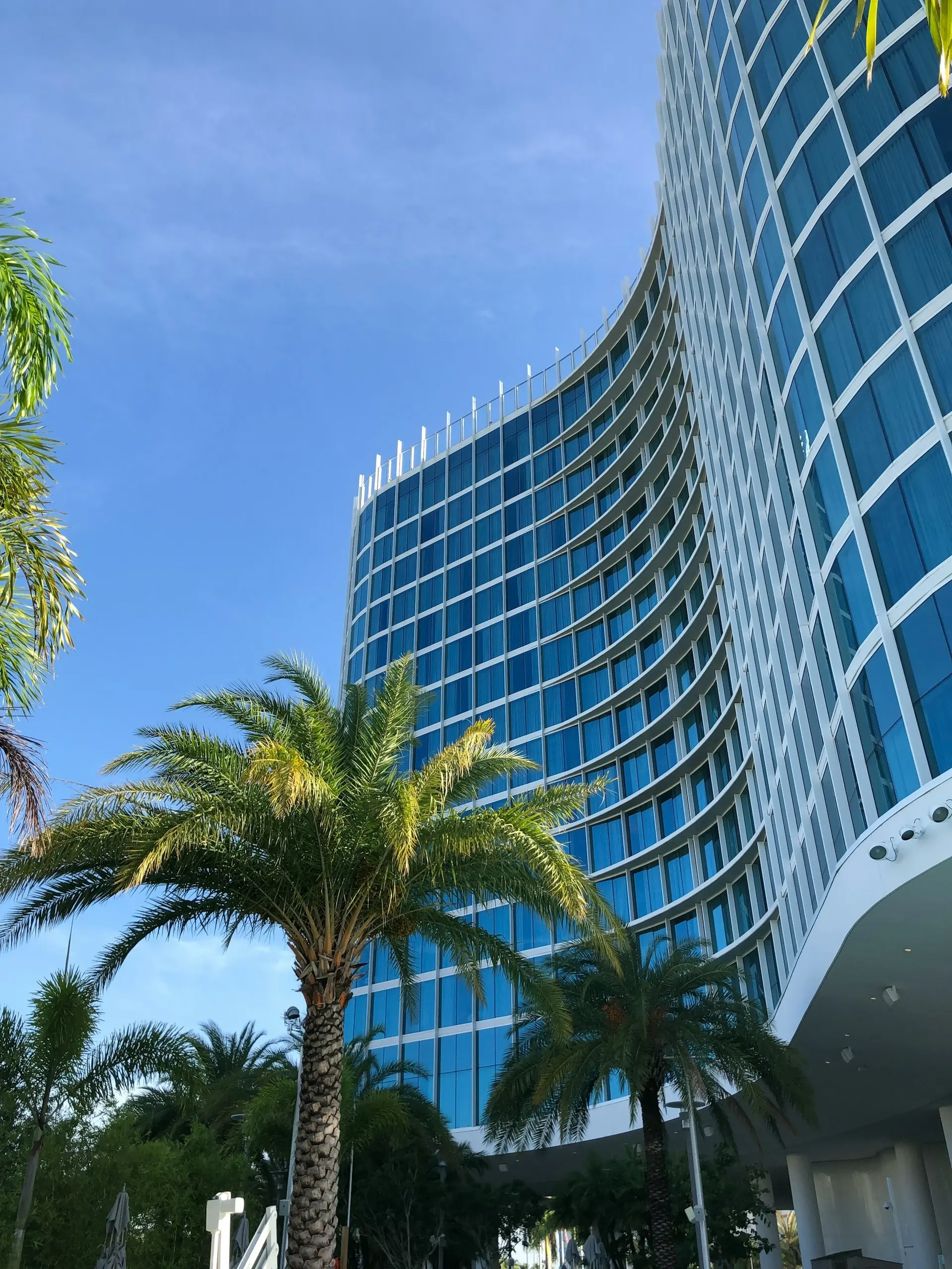 Modern curved blue glass building with palm trees in front under a clear blue sky.