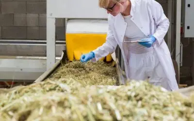 Cannabis Operation Facility