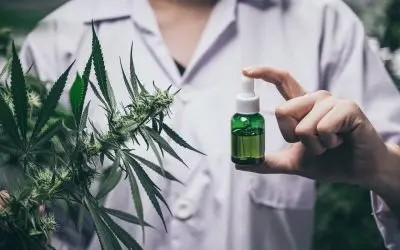 Cannabis Cultivation Facility