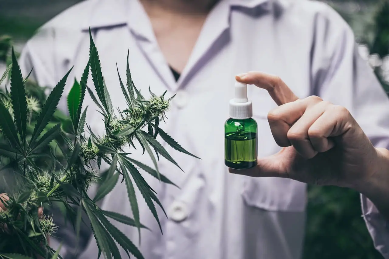 Cannabis Chain Store