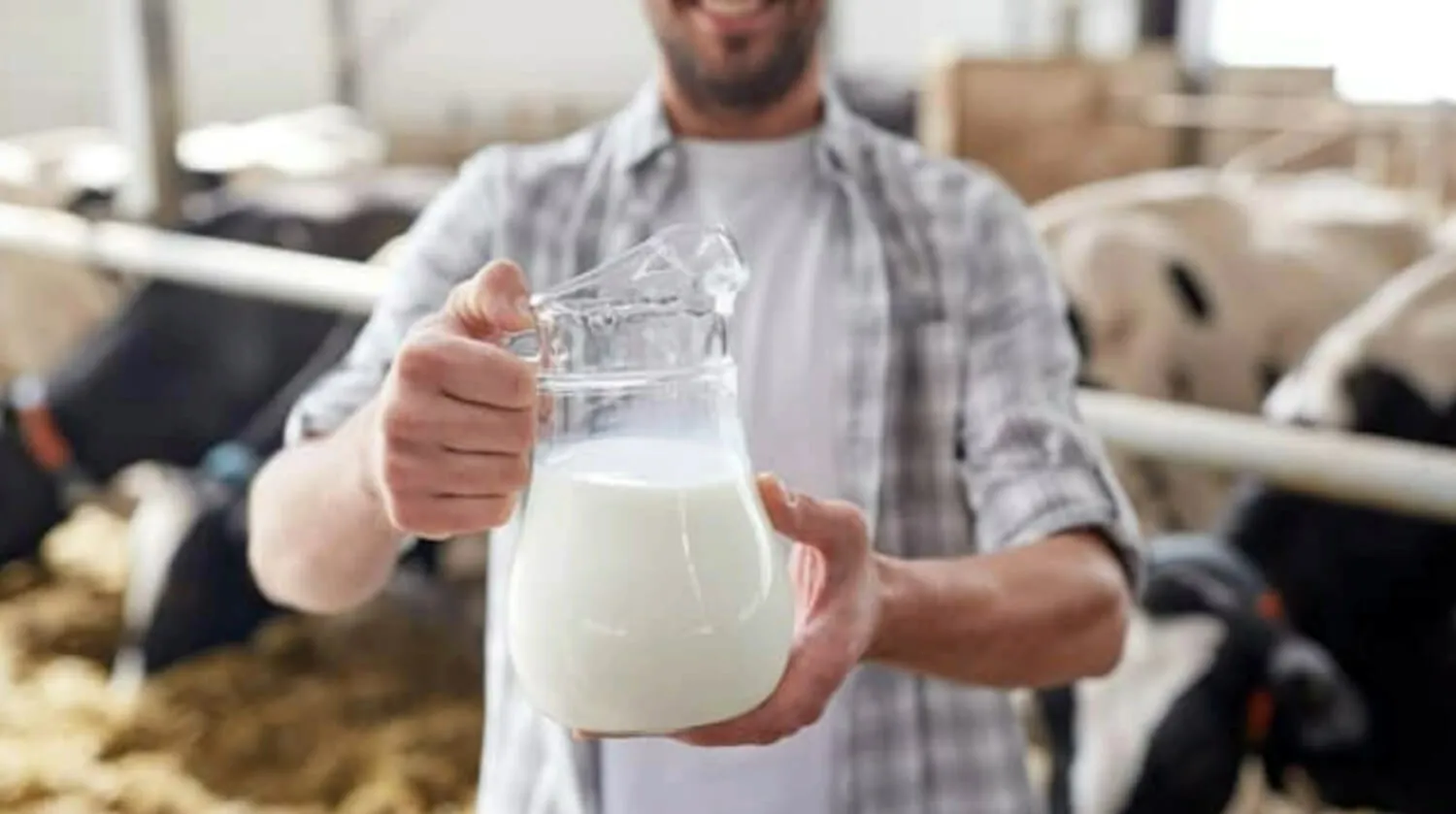 Instant Dairy Feed Analysis For An Efficient Farm