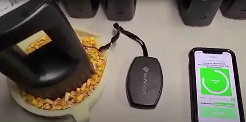 Whole Corn Sample Results from Multiple NeoSpectra Scanners