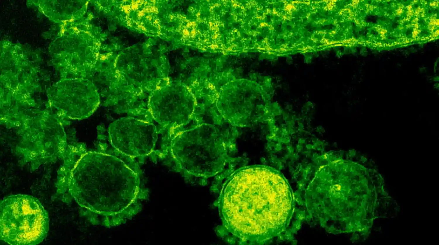 Spectral sensing role in health analysis and virus detection