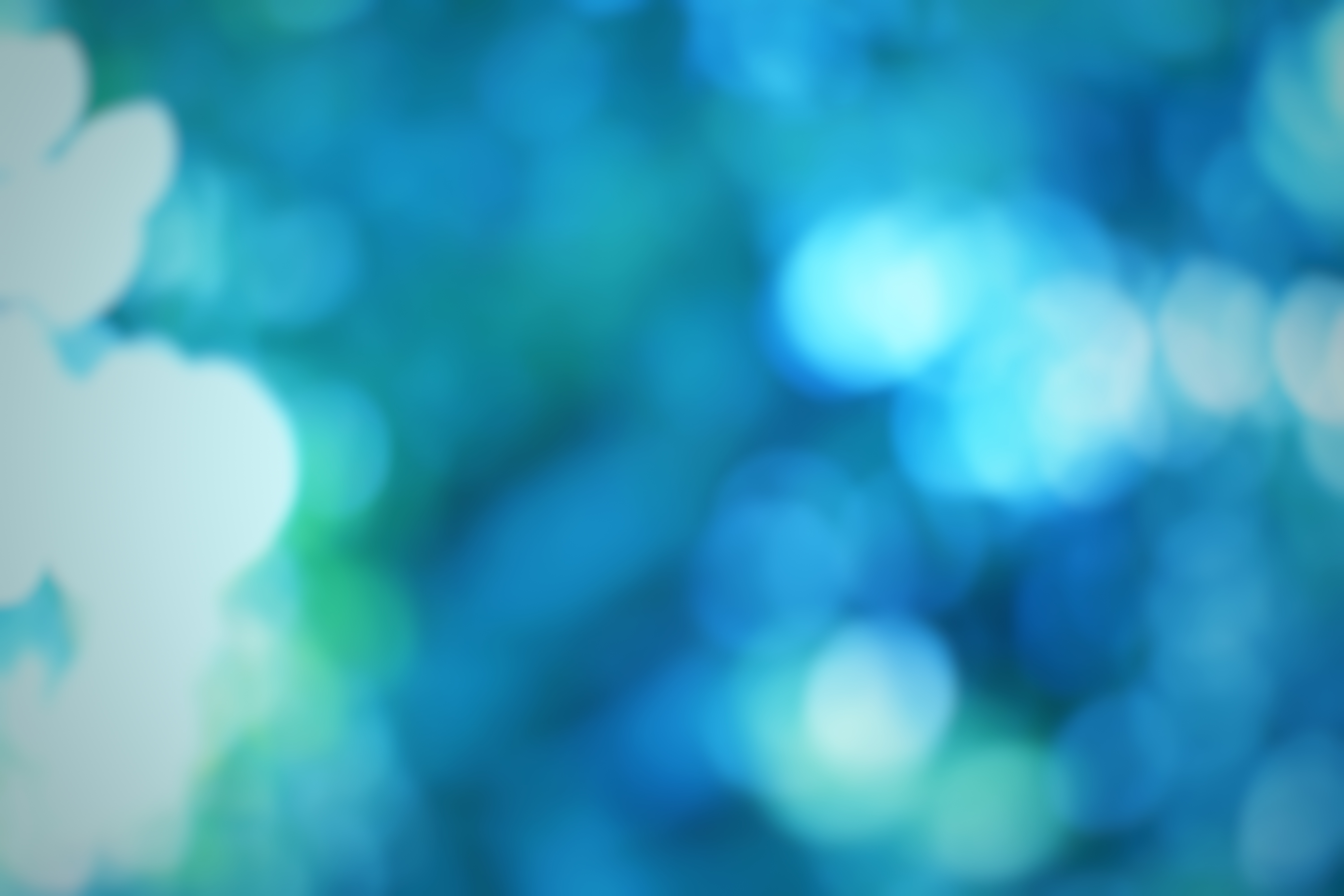 Peacebuilding & Conflict Transformation