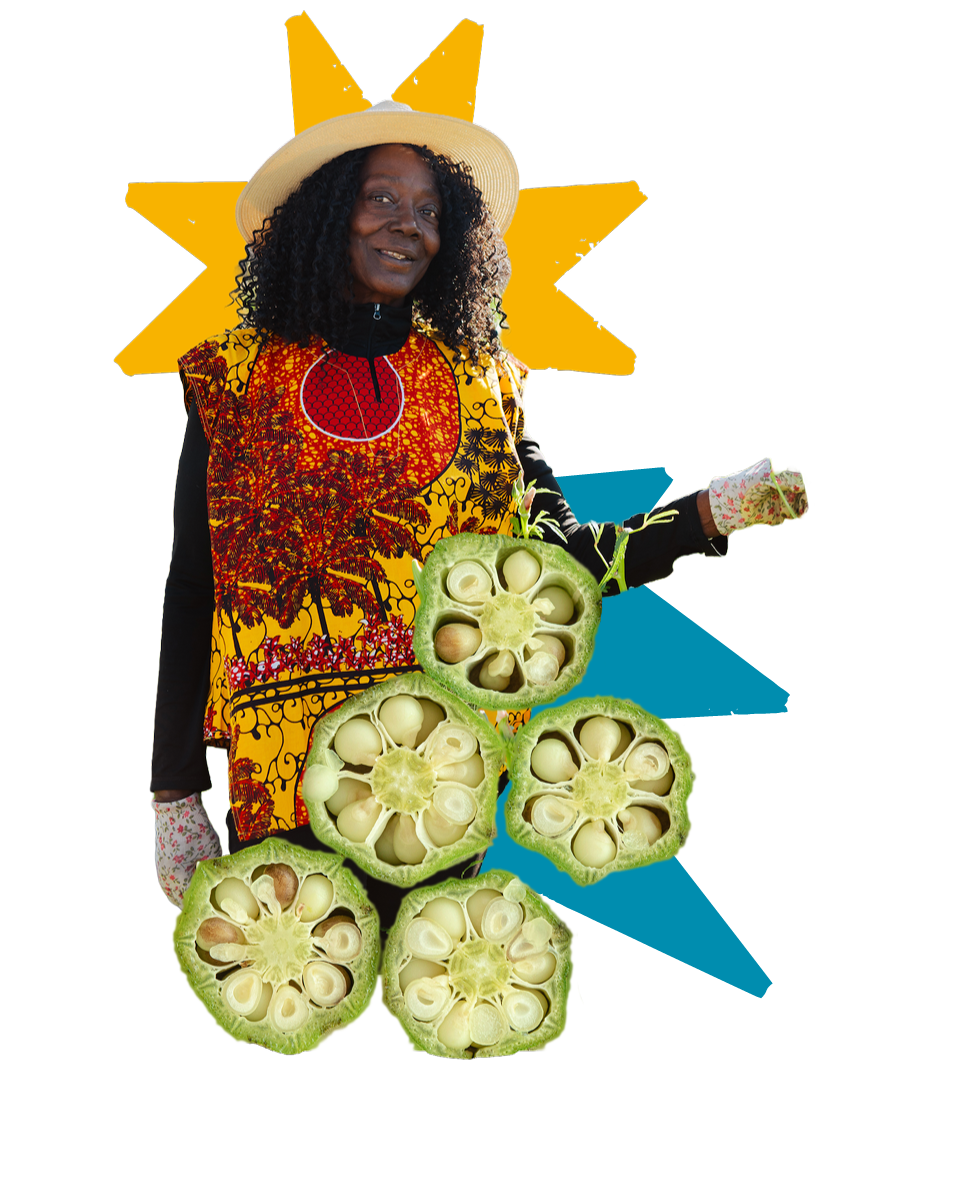 A photographic cutout of Ms. Victoria Deal smiling with her gardening gloves and hat on. A image cutout of five chopped pieces of okra placed over her photo. A yellow eight point star graphic is placed behind Ms. Victoria Deal