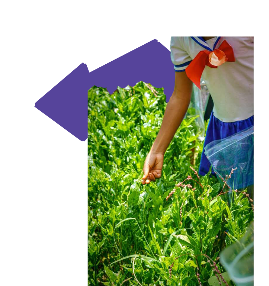 A photograph cutout of black child tilling to the planted greenery placed over a small purple geometric shaped graphic