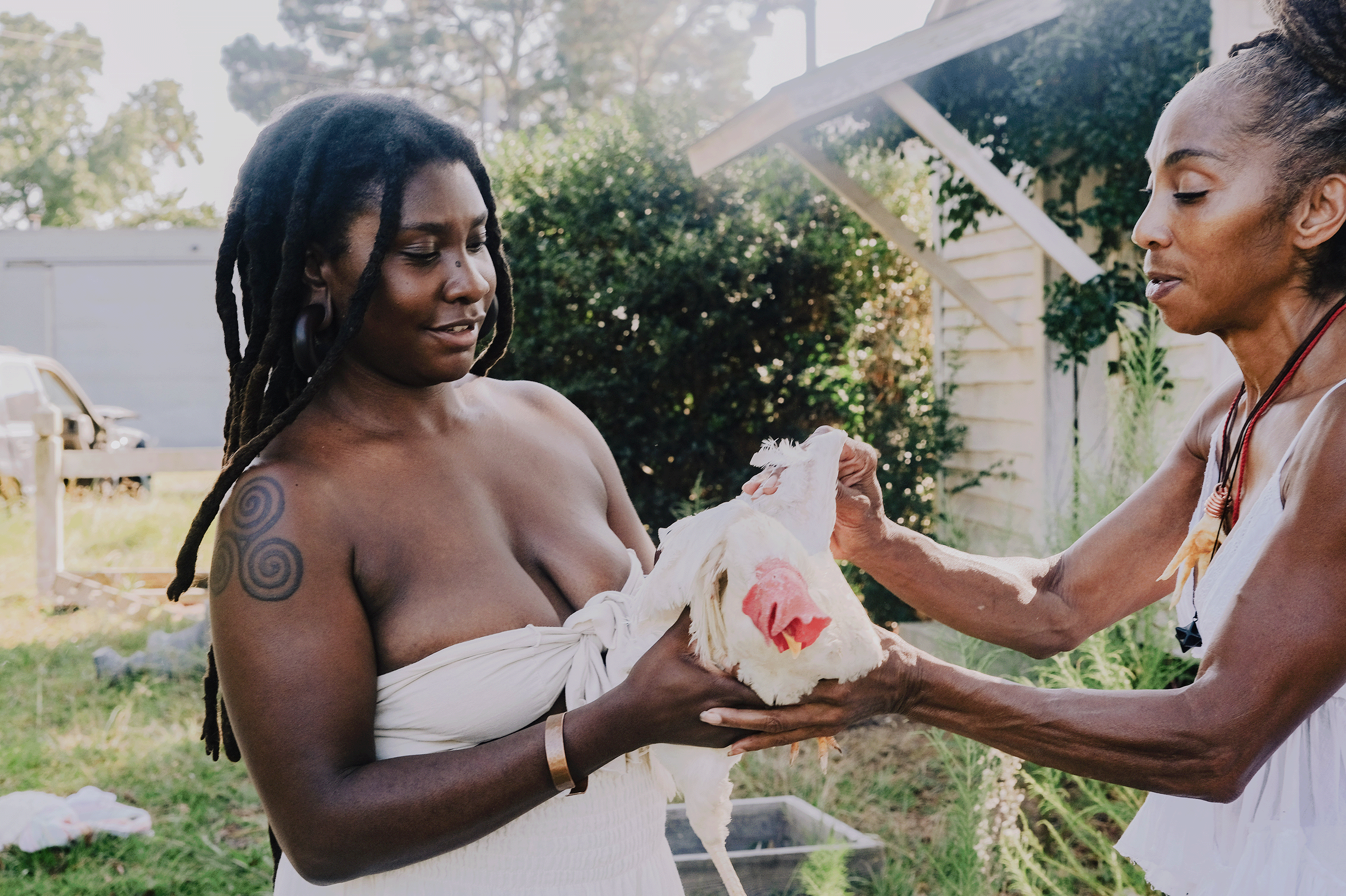 A hoodoo Black woman in her white ceremonial dress intentionally passes the wrapped rooster to the other Black woman