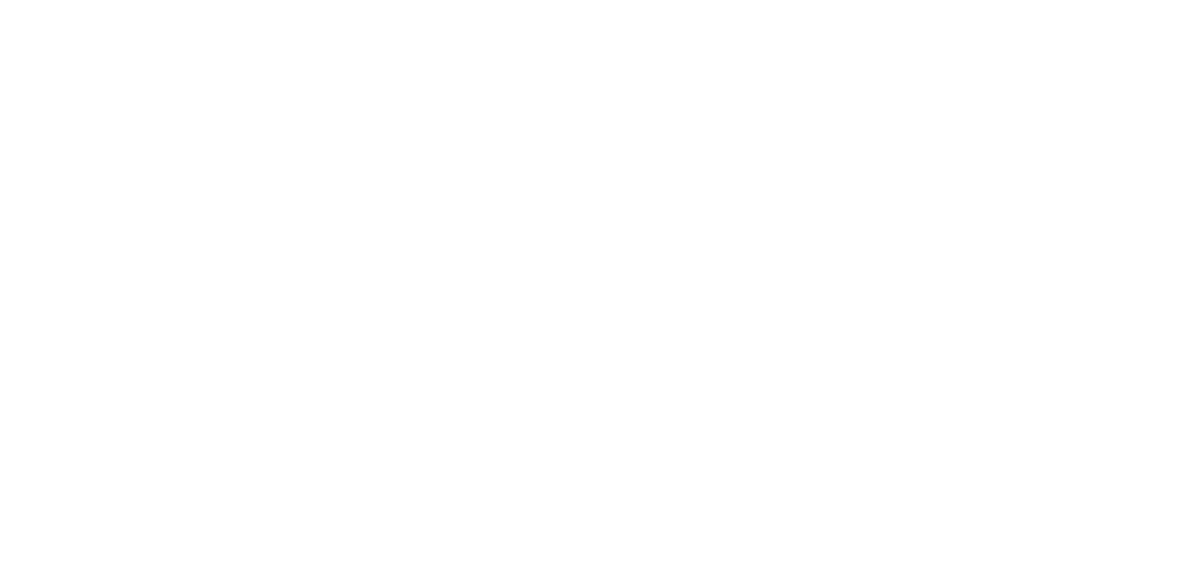 Plug