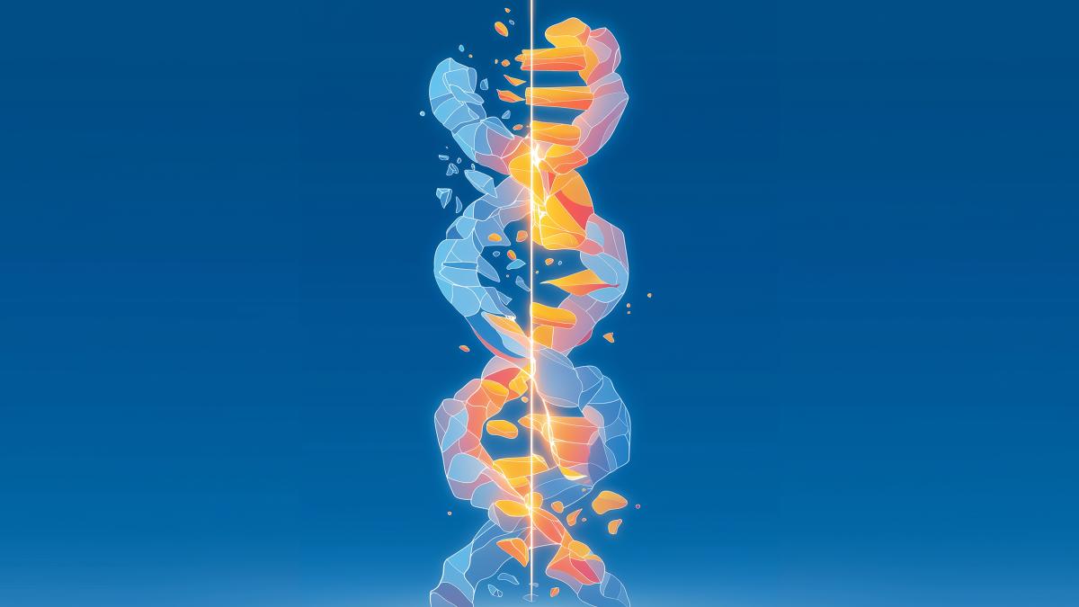 How Peptides Work in the Body: Cellular Repair, Hormones & Longevity