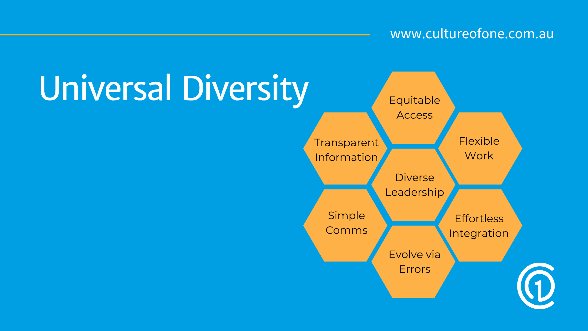 Universal Diversity Framework
